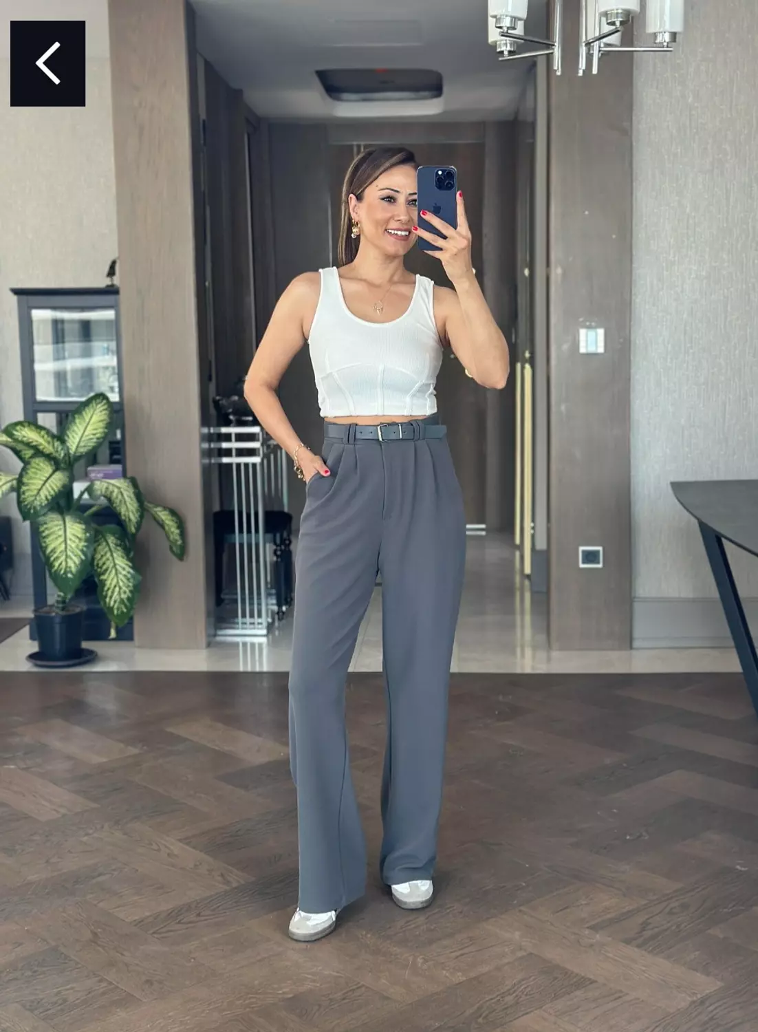 Gray Classic Pants Without Belt  image