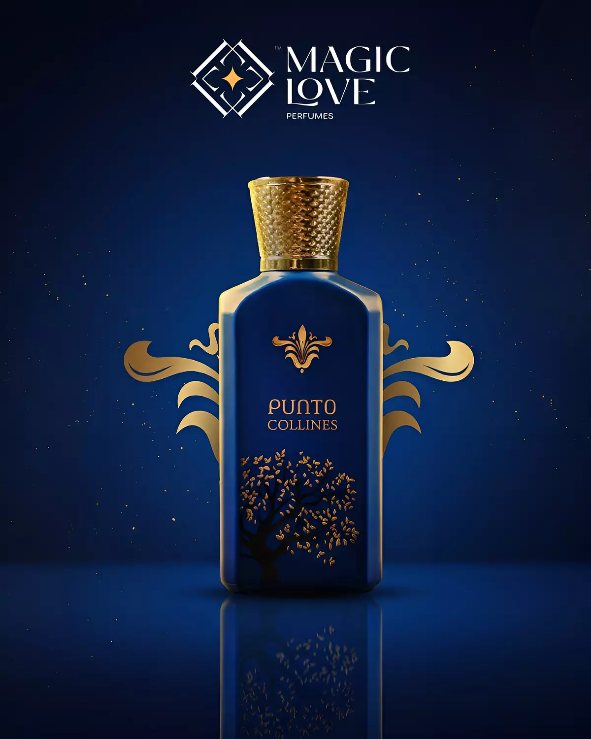 PUNTO COLLINES image