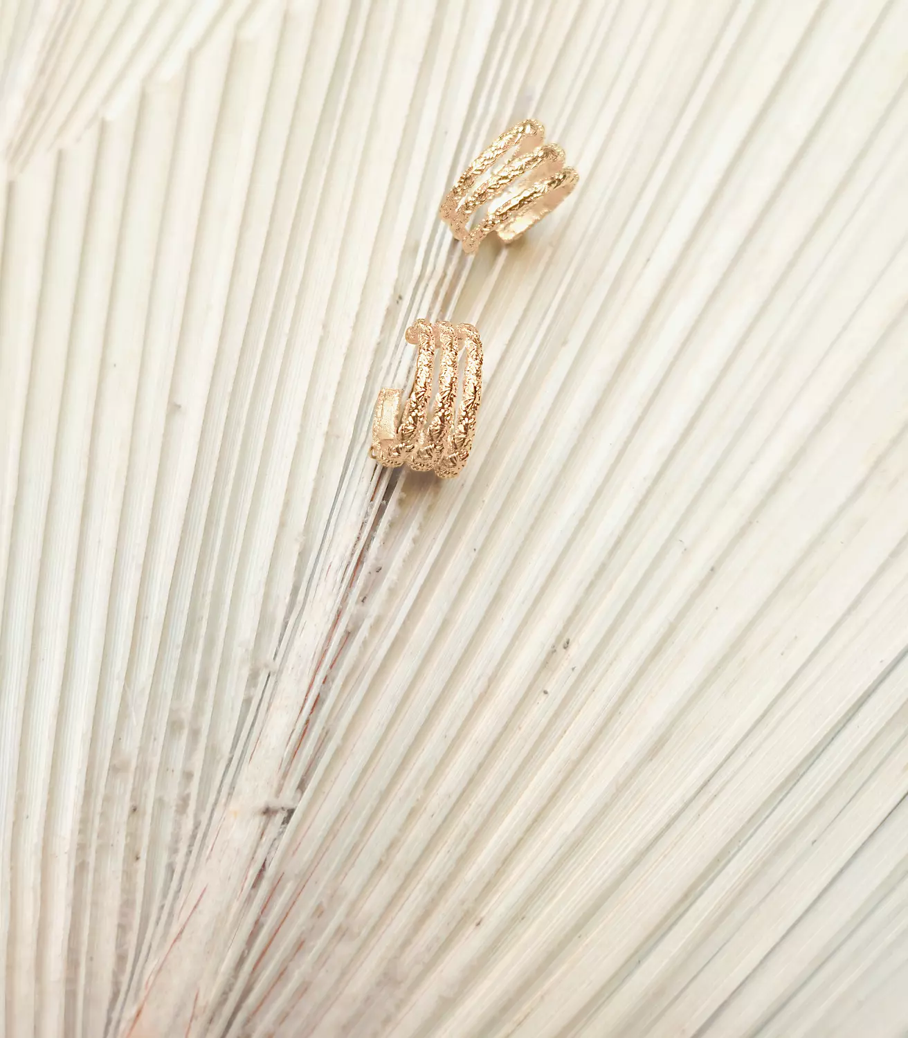 Pridy earrings  image