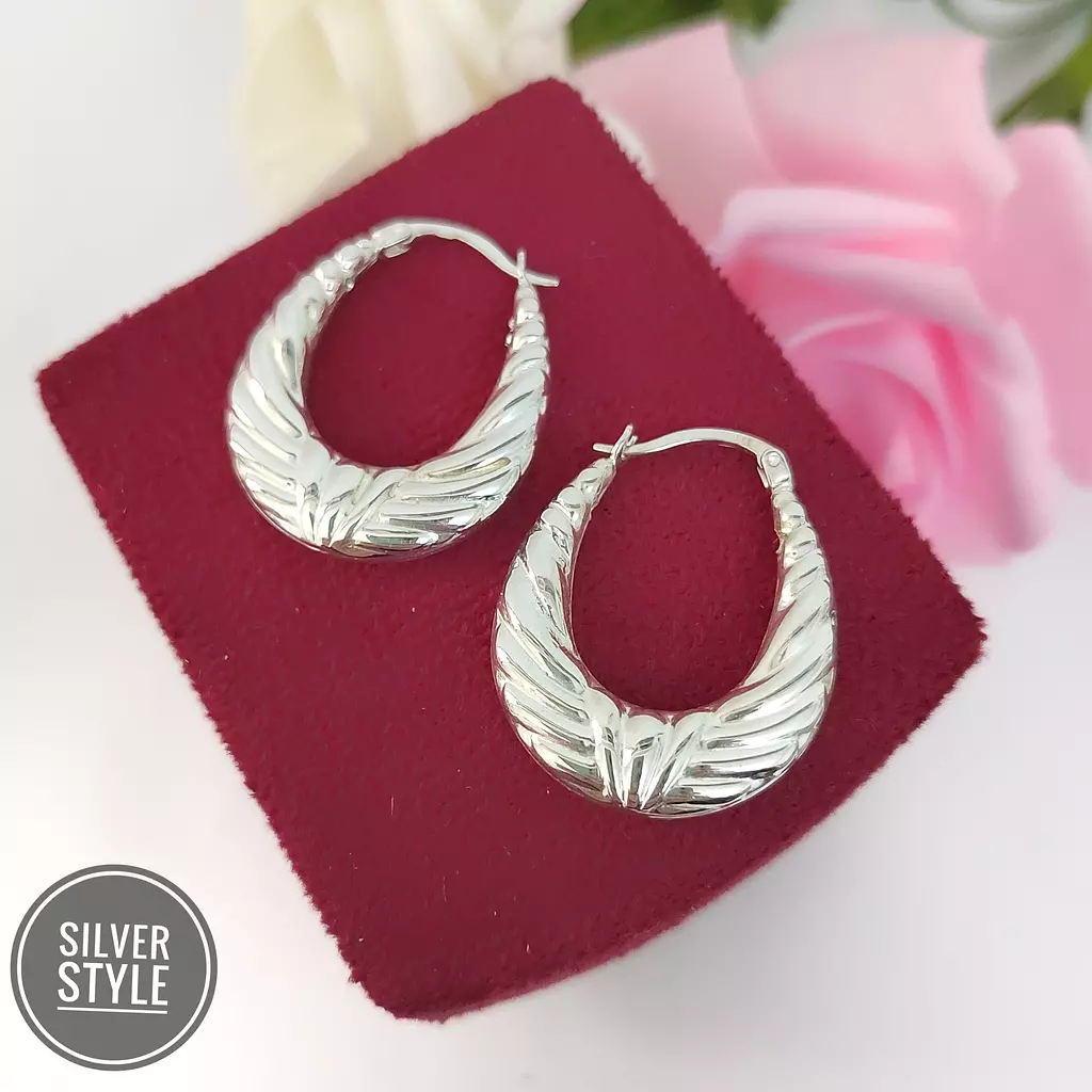 Simple & Elegant Earrings 