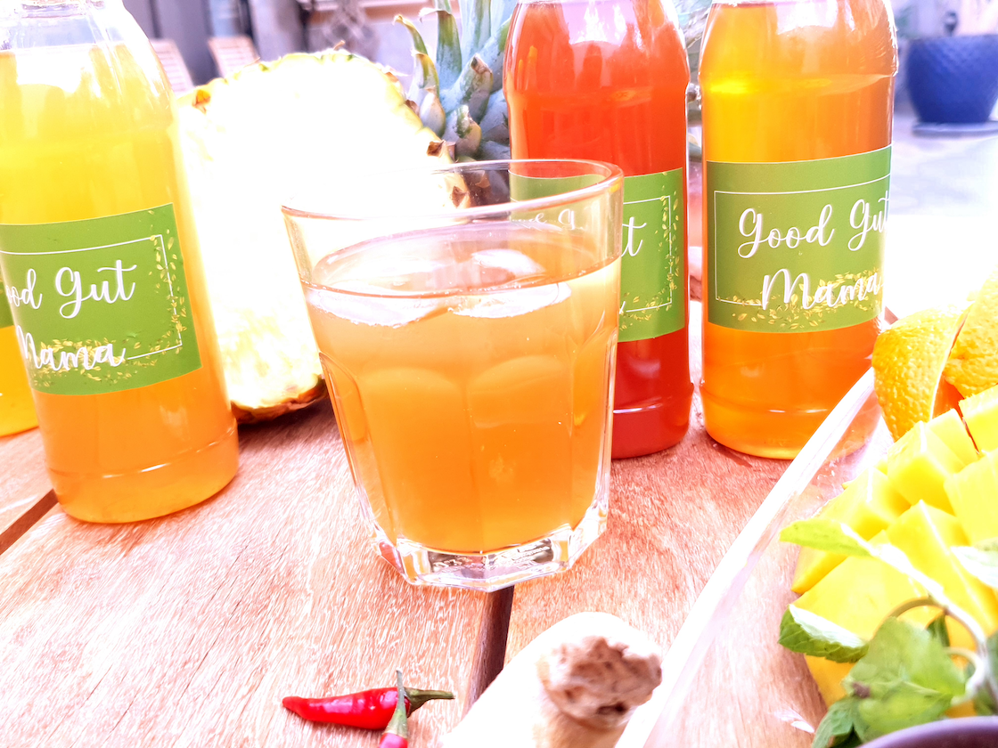 KOMBUCHA 500ml 4