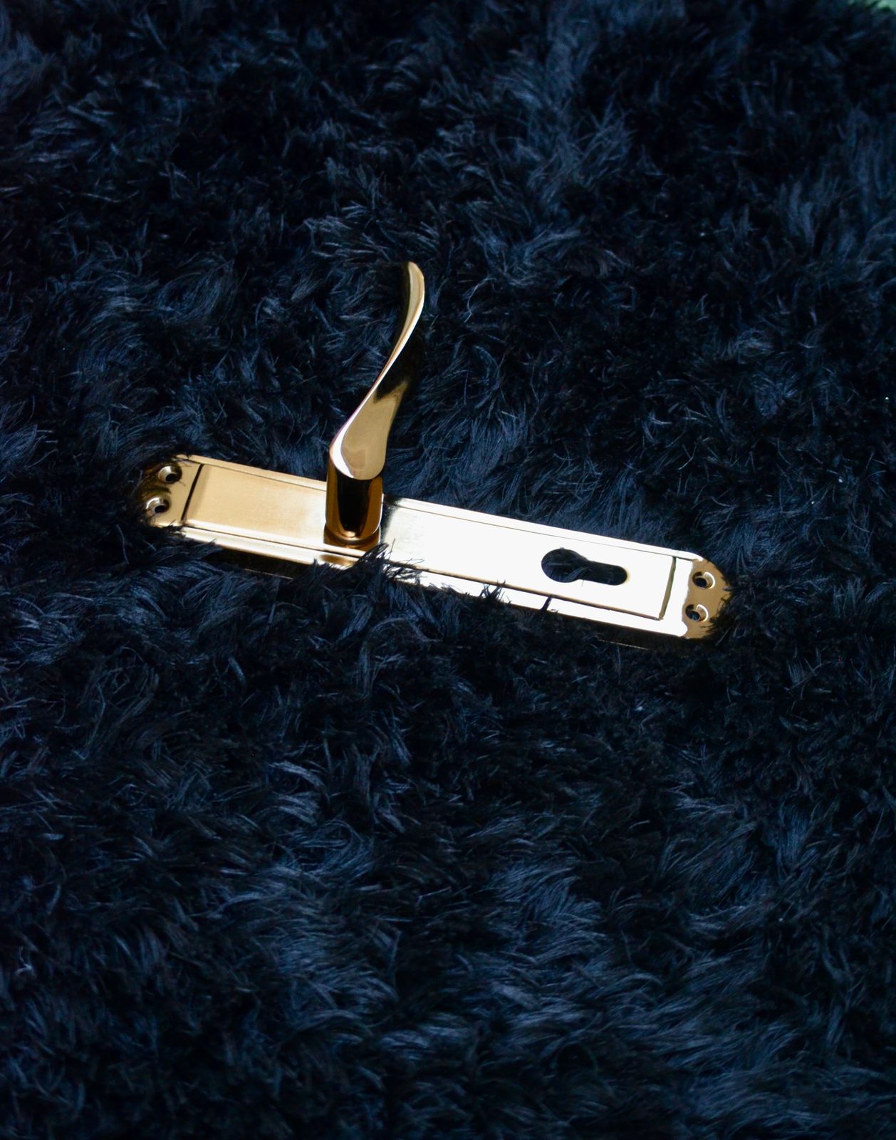 <p><strong>Door Handles</strong></p>