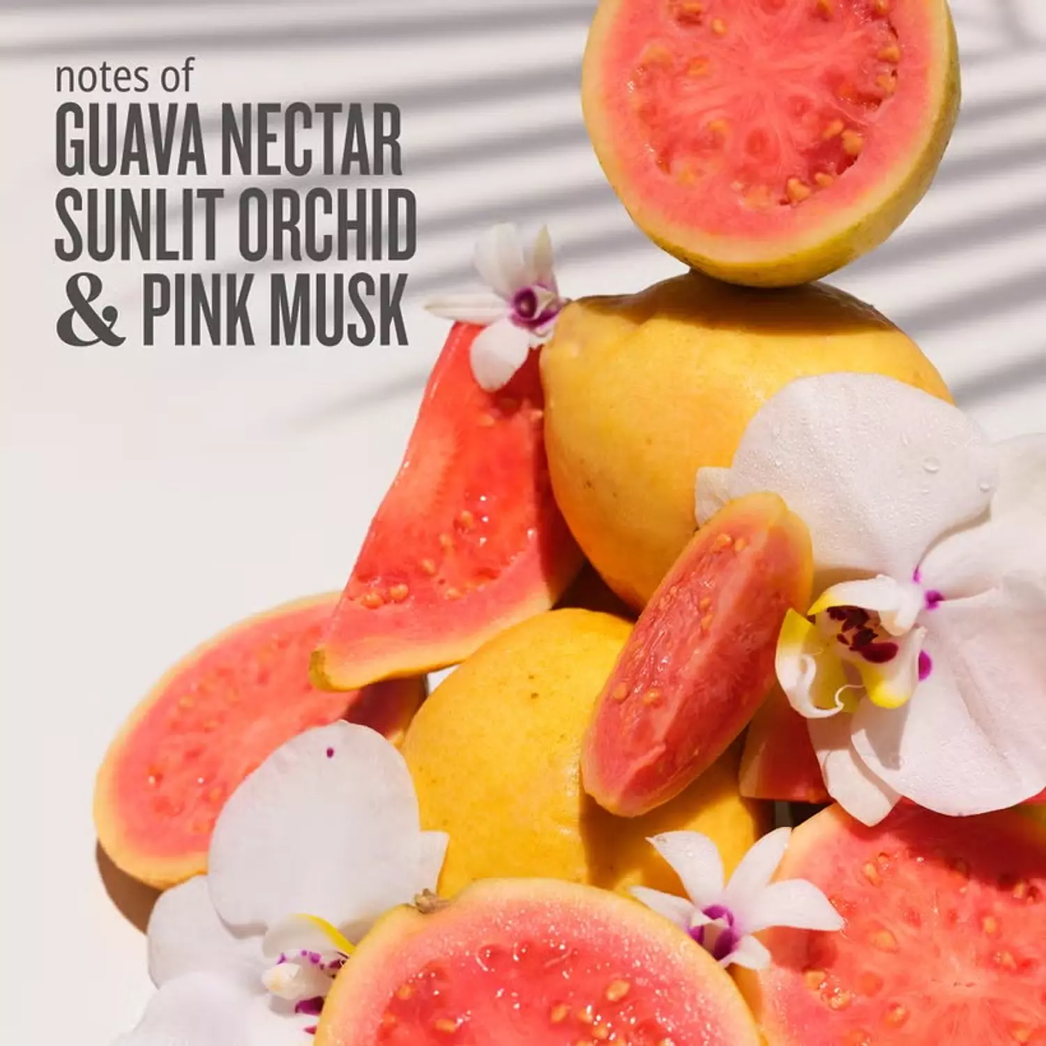 Sol de Janeiro Cheirosa 48 Perfume Mist 90ml 1