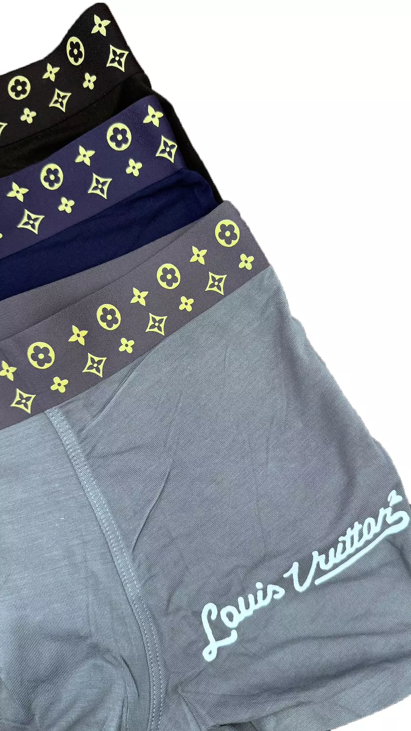 LOUIS VUITTON BOXER 3 PCS IN BOX-9O48U hover image