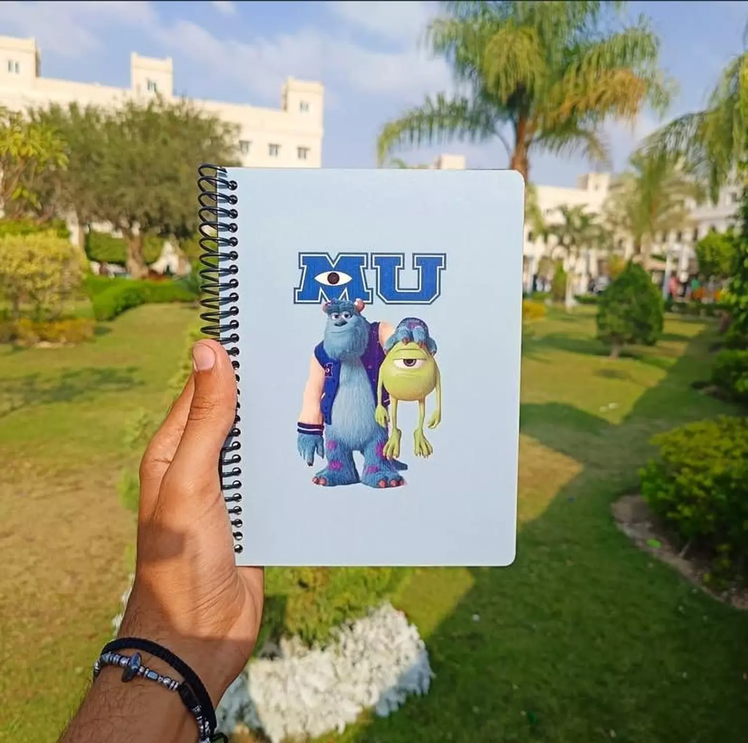 Sully - Mike Wazowski image