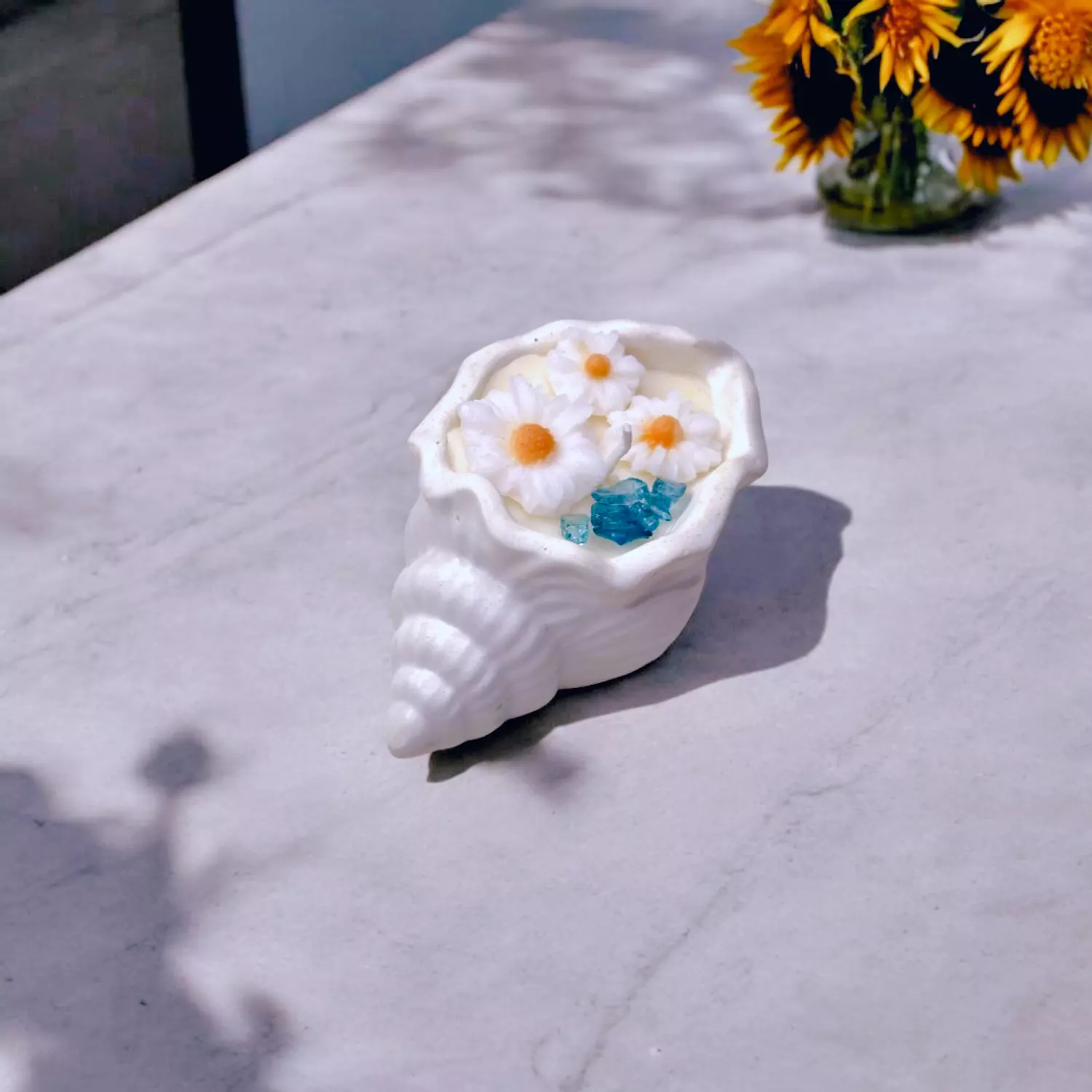 Shell Breeze  1