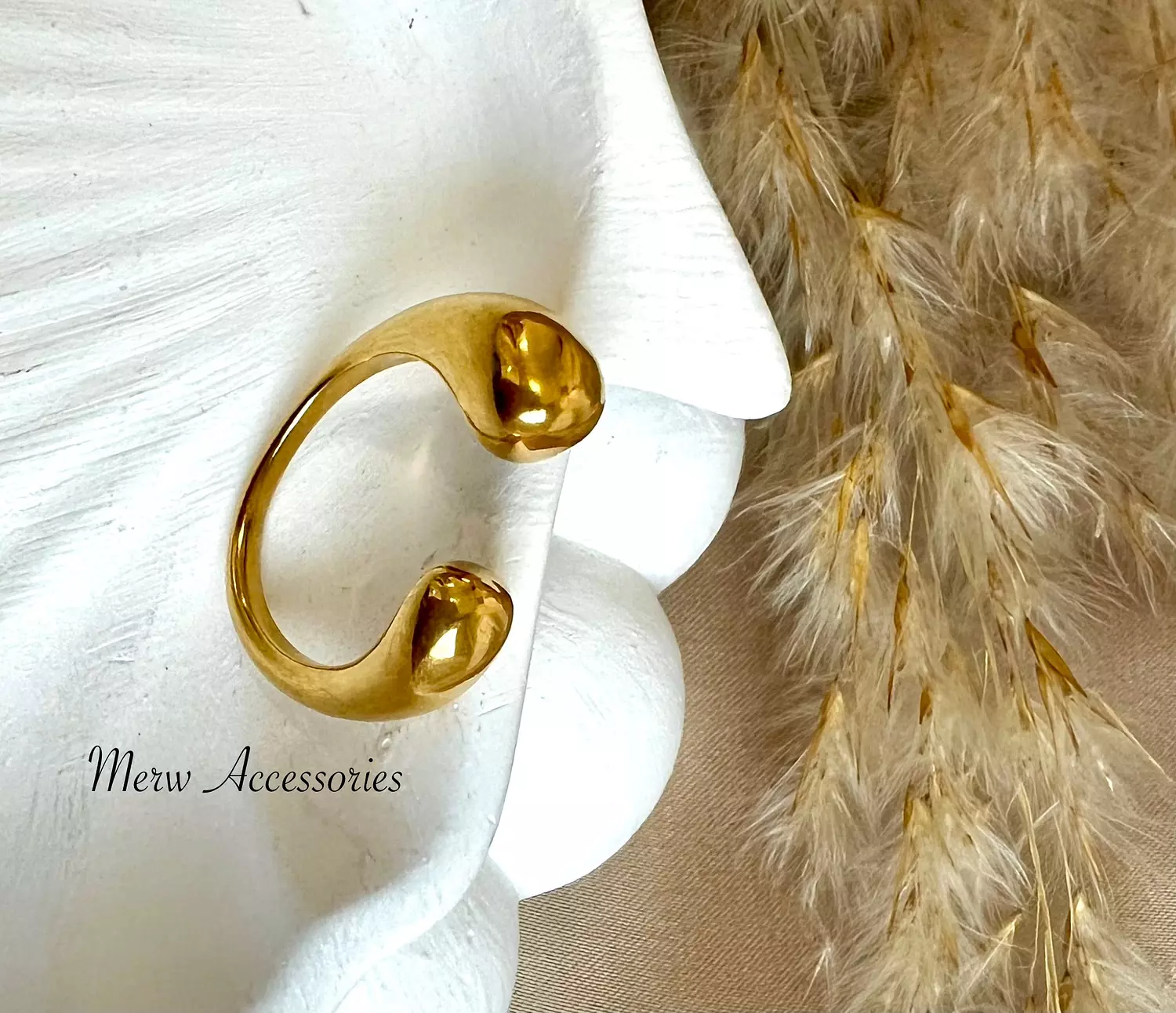 Double drop ring image