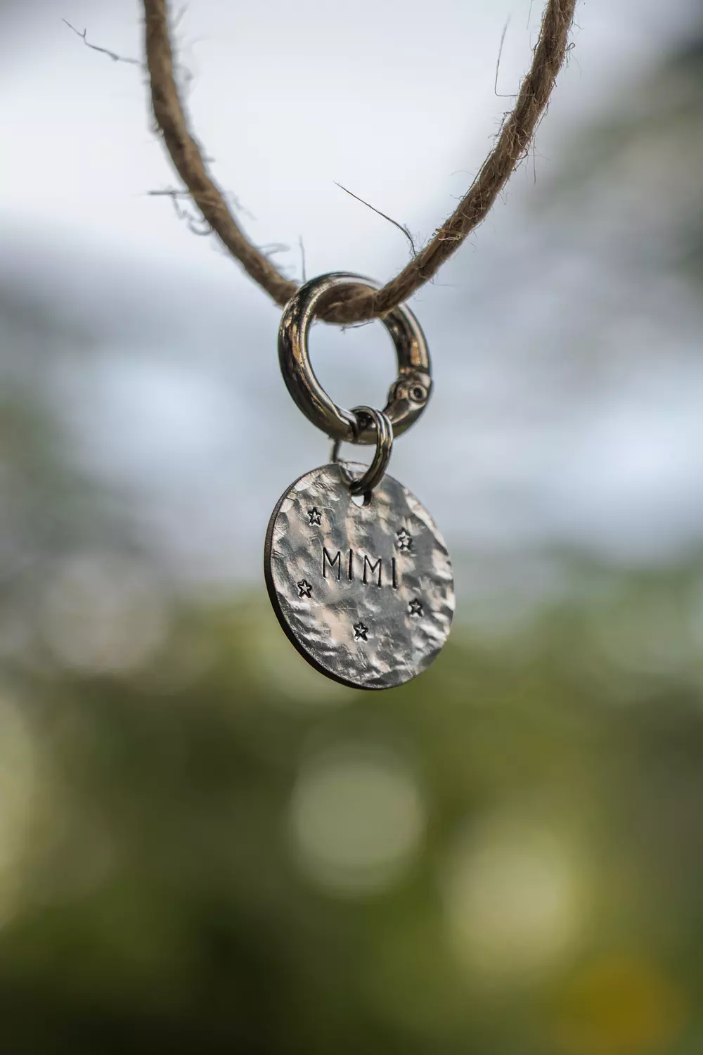 <h1><span style="color: #E14825">Starry Night Pet Tag</span></h1>