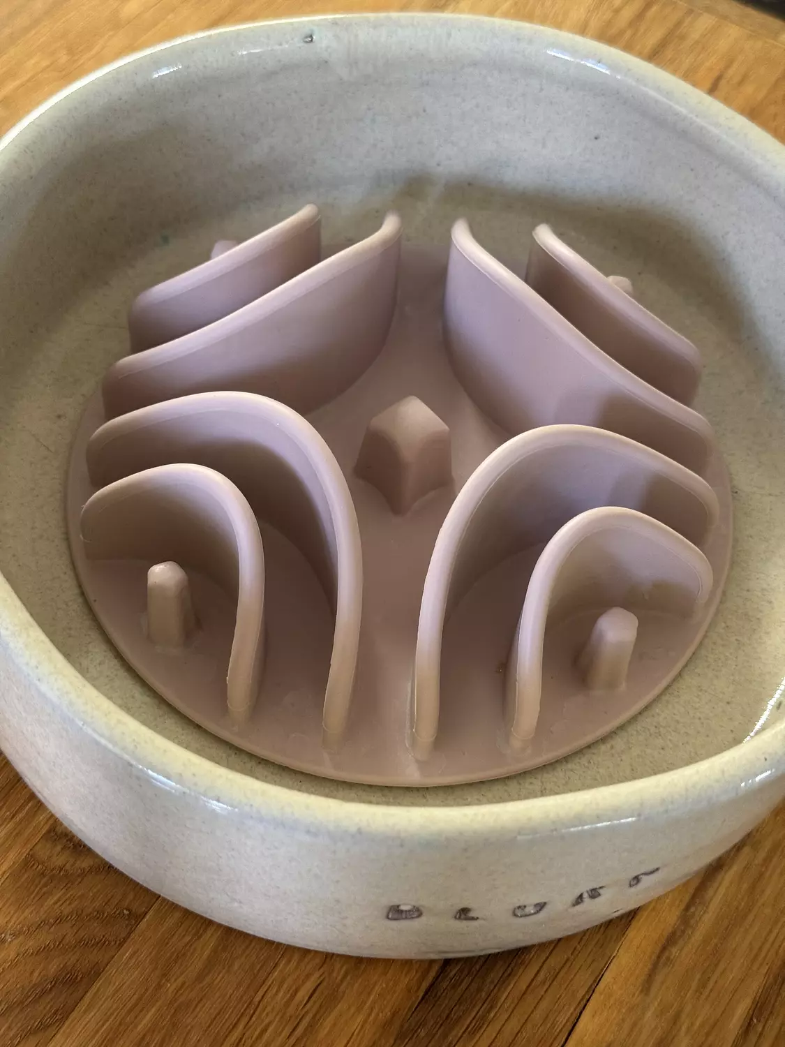 Slow Feeder Insert 8