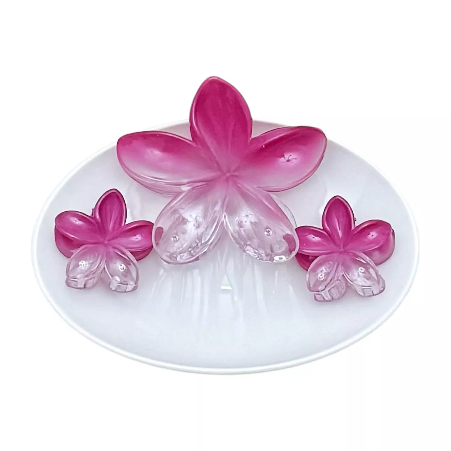 3 Pc Magenta See-Thru Set image