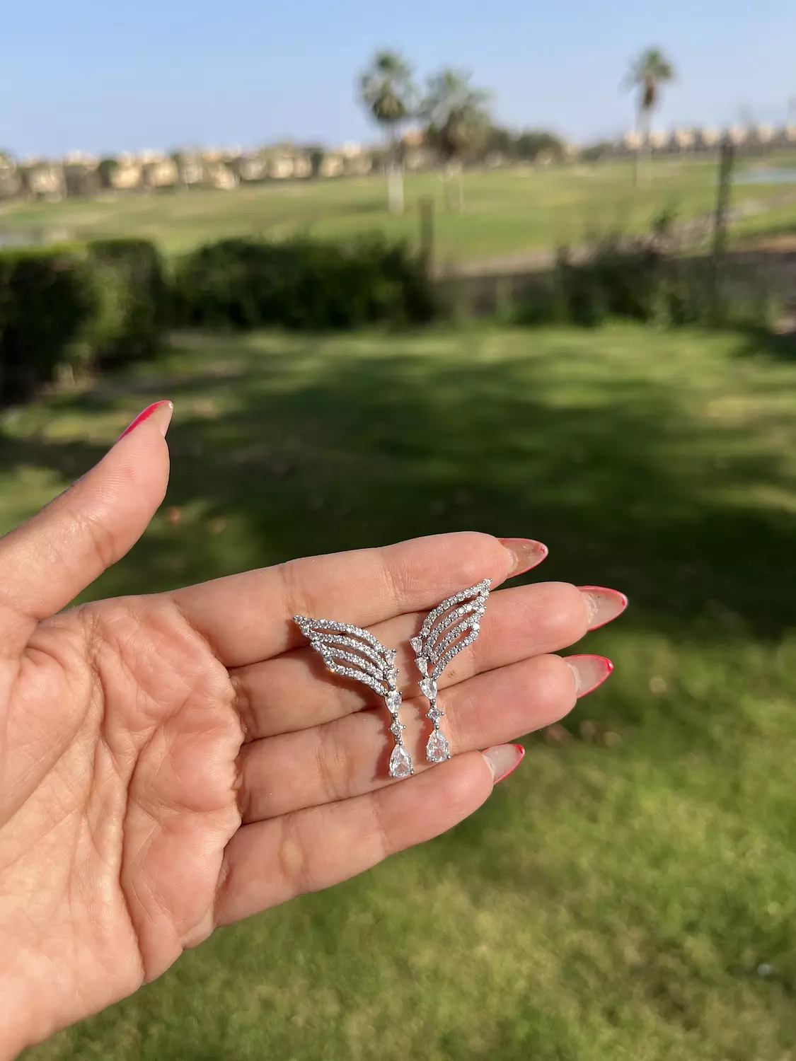 Wing Zircon Earrings image