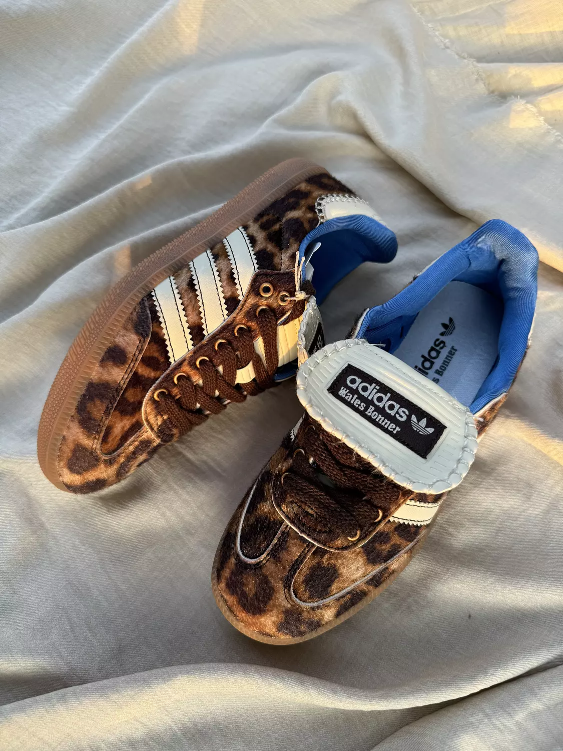 Adidas samba wales boner leopard image