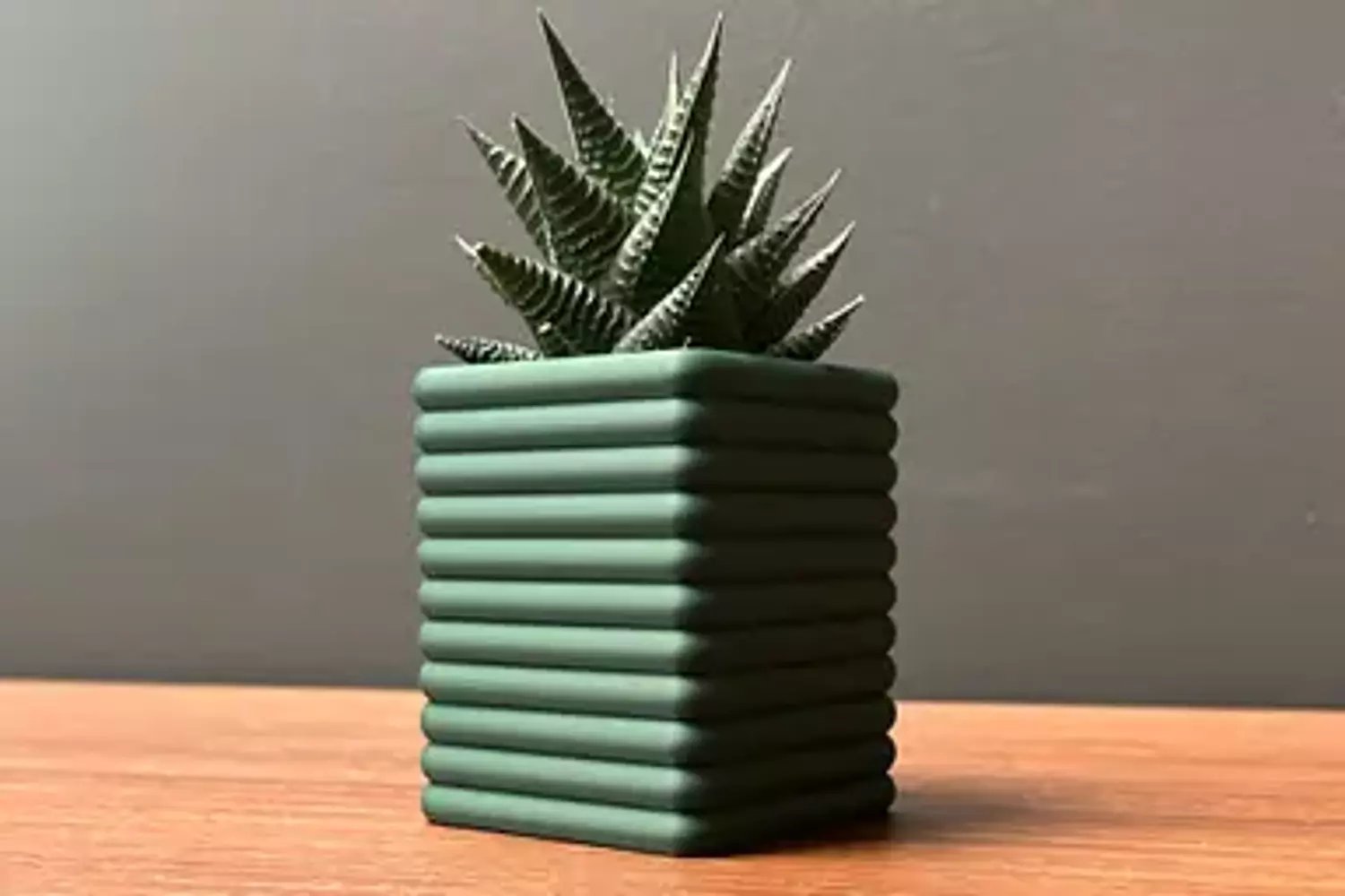 Magnetic Drip Tray Planter - Square Poppy image