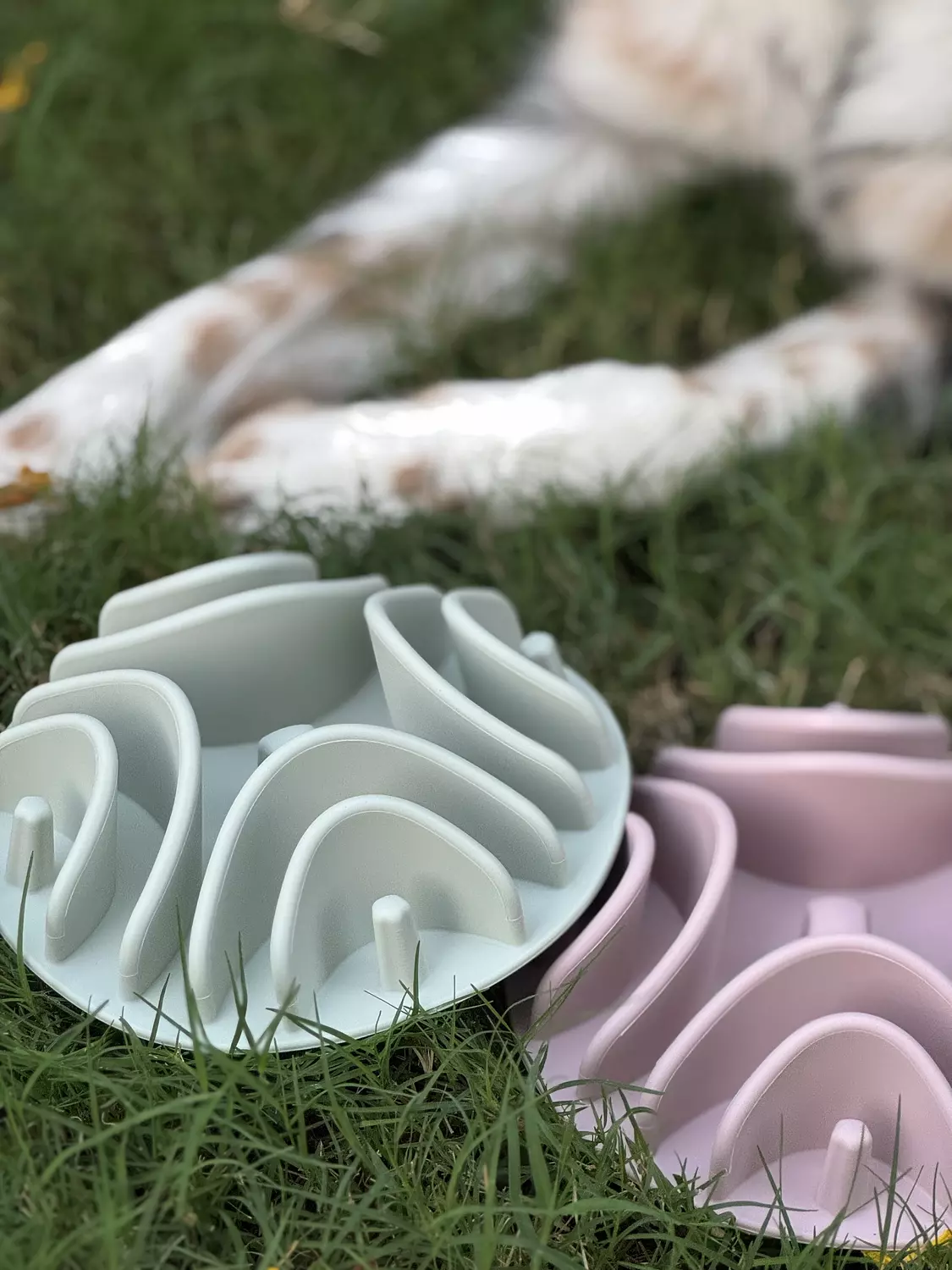 Slow Feeder Insert image