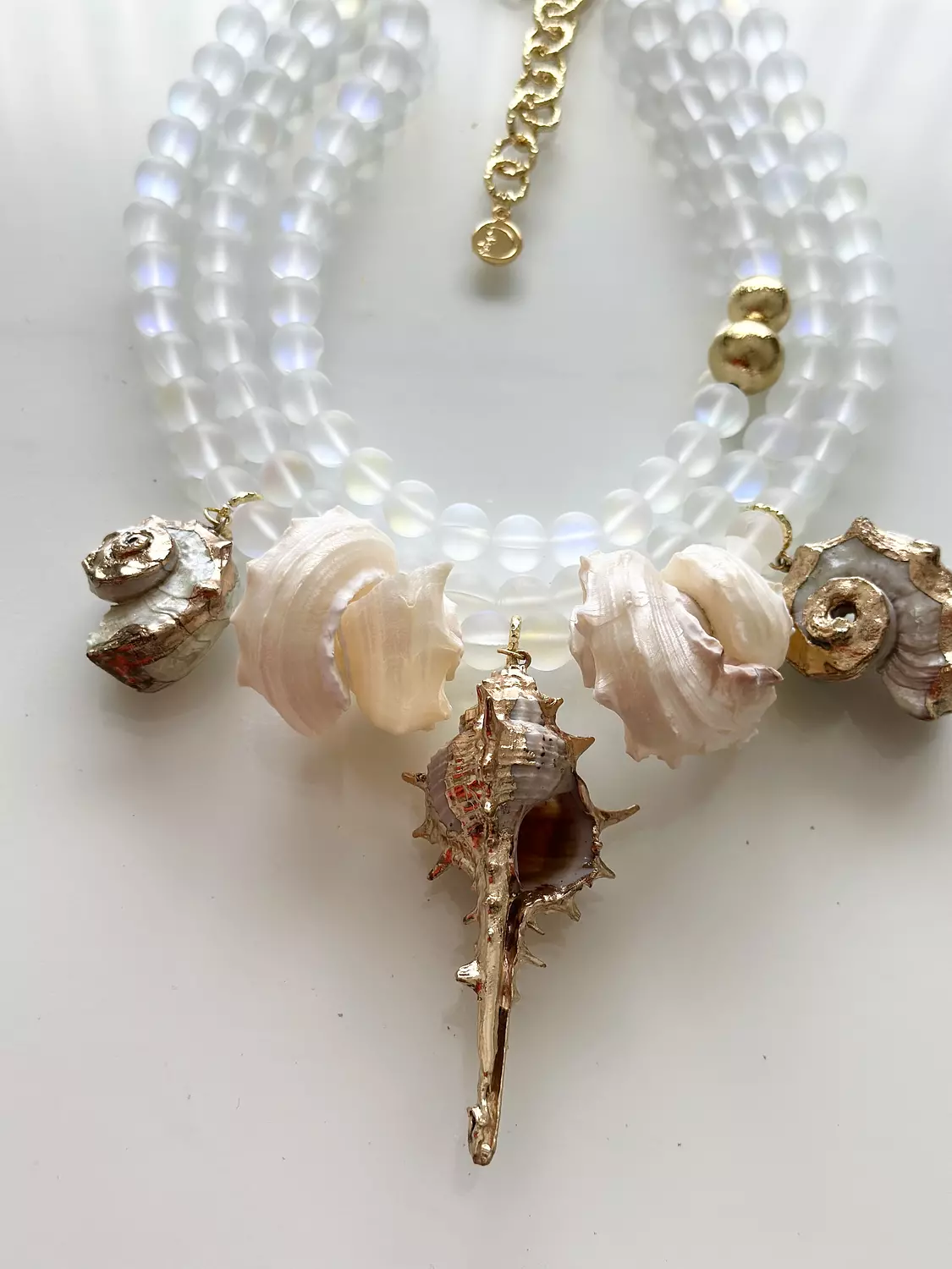 Seashells  3