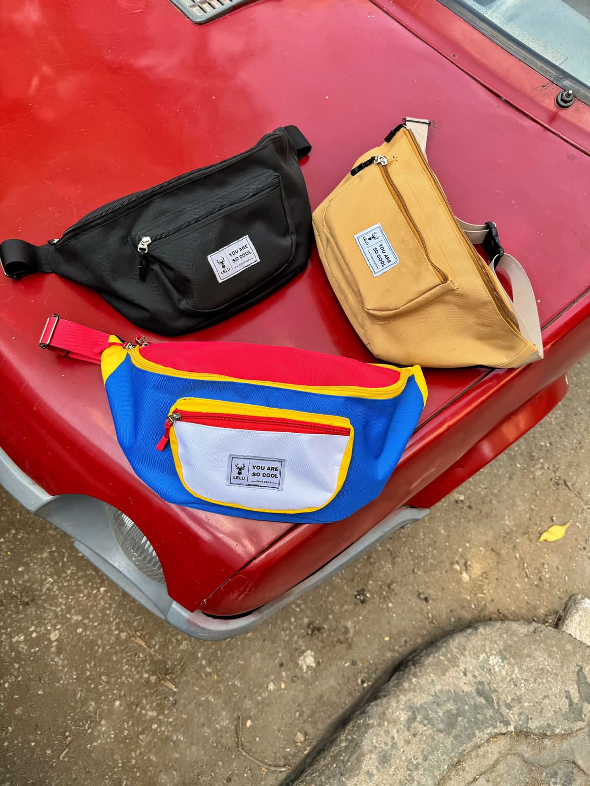 <p style="text-align: start"></p>