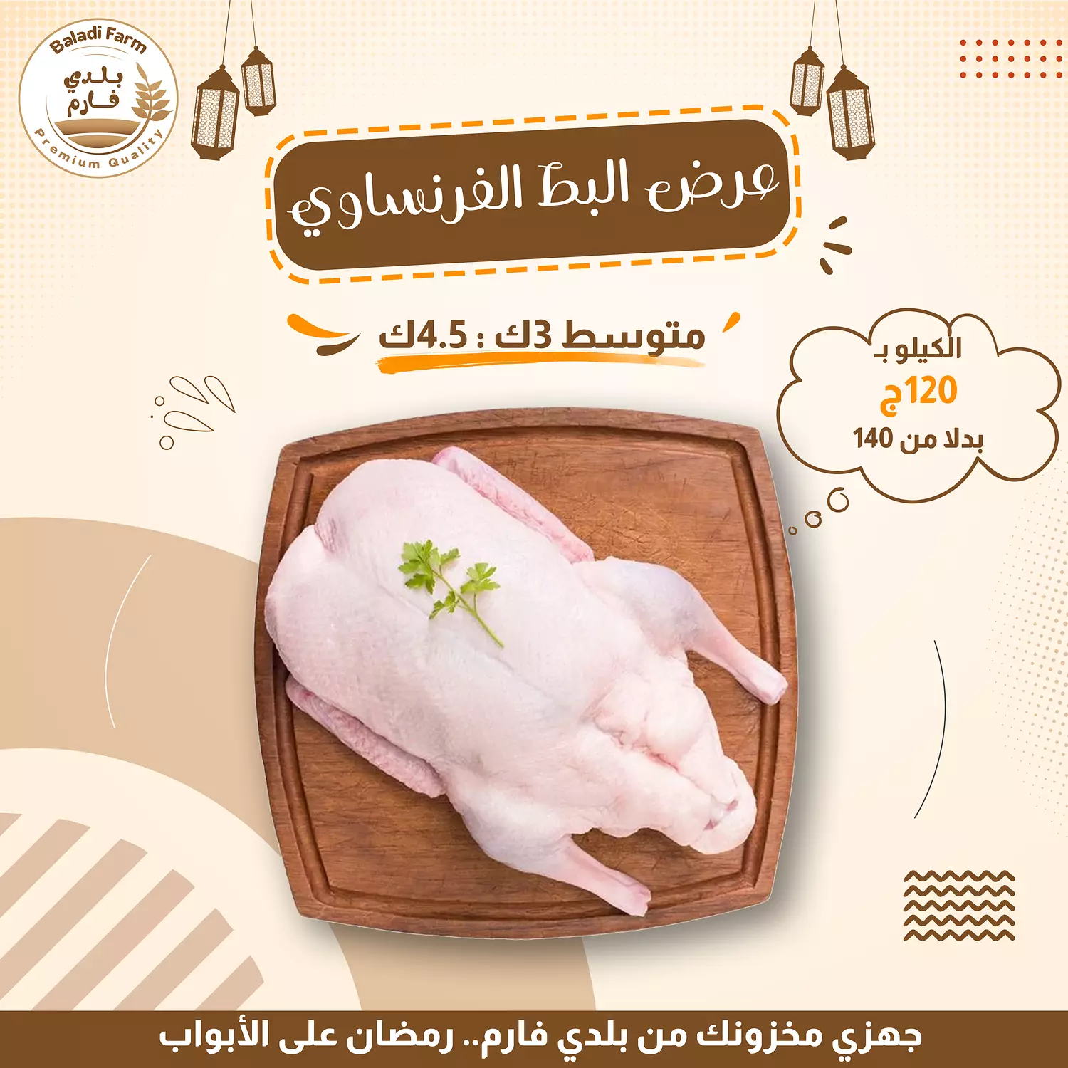 بط فرنساوي  image