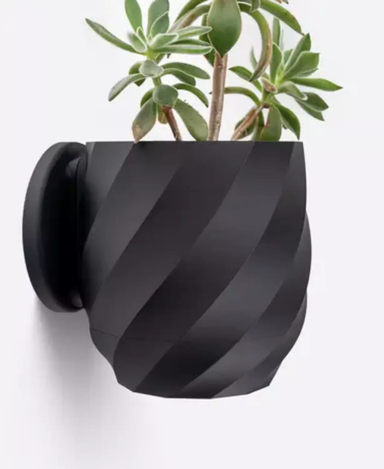 Twisted Planter image