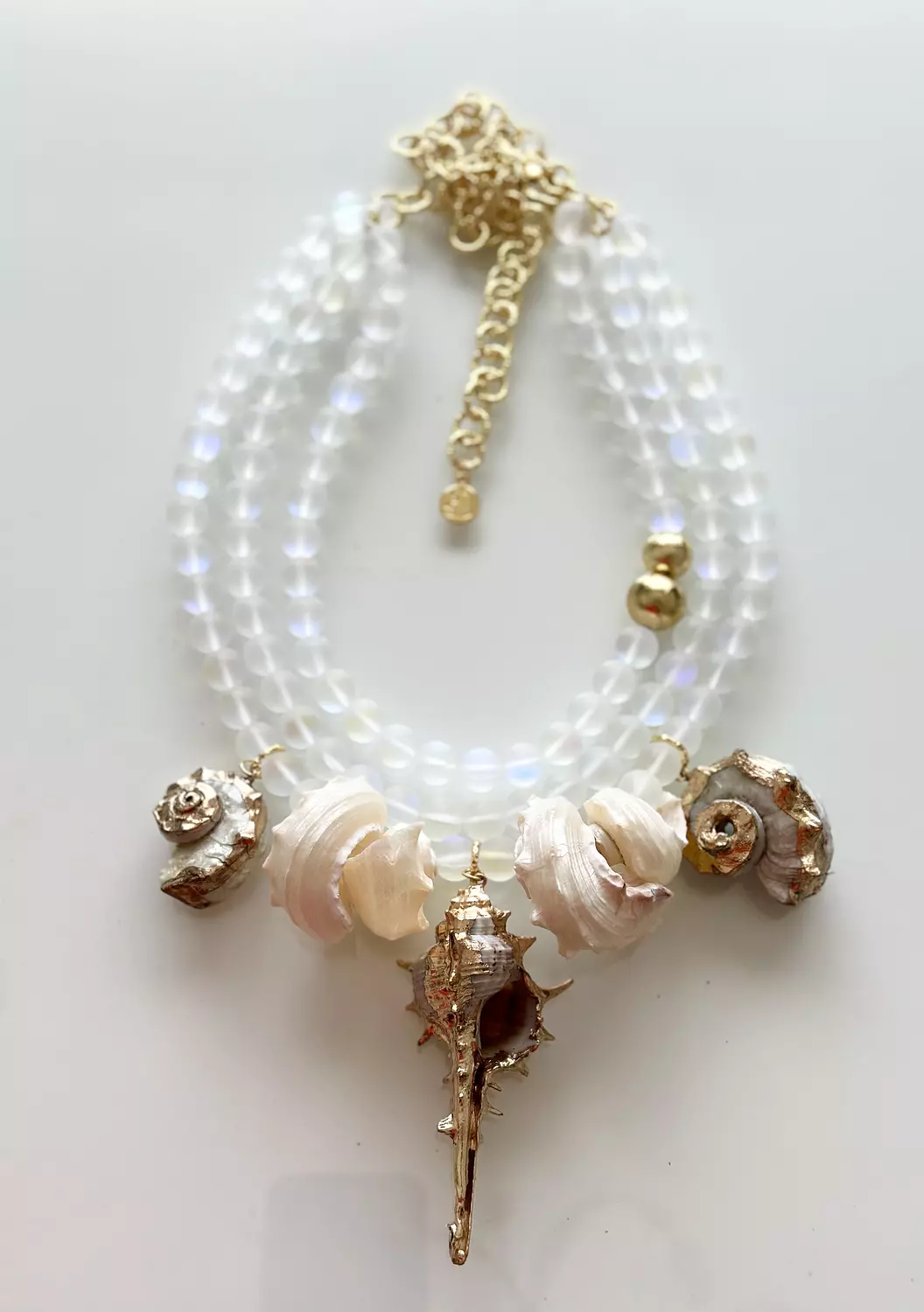Seashells  1