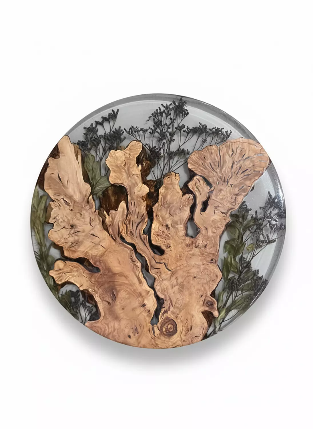 Botanical Olive wood Side Table hover image