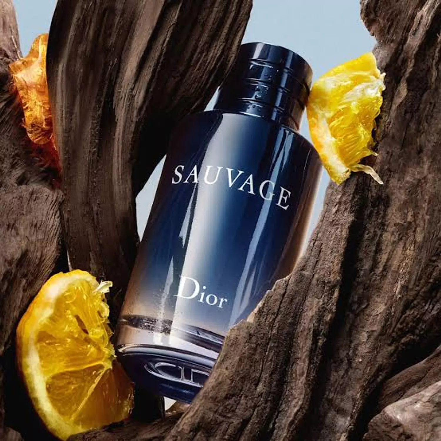 Sauvage Dior 100ml for men 2