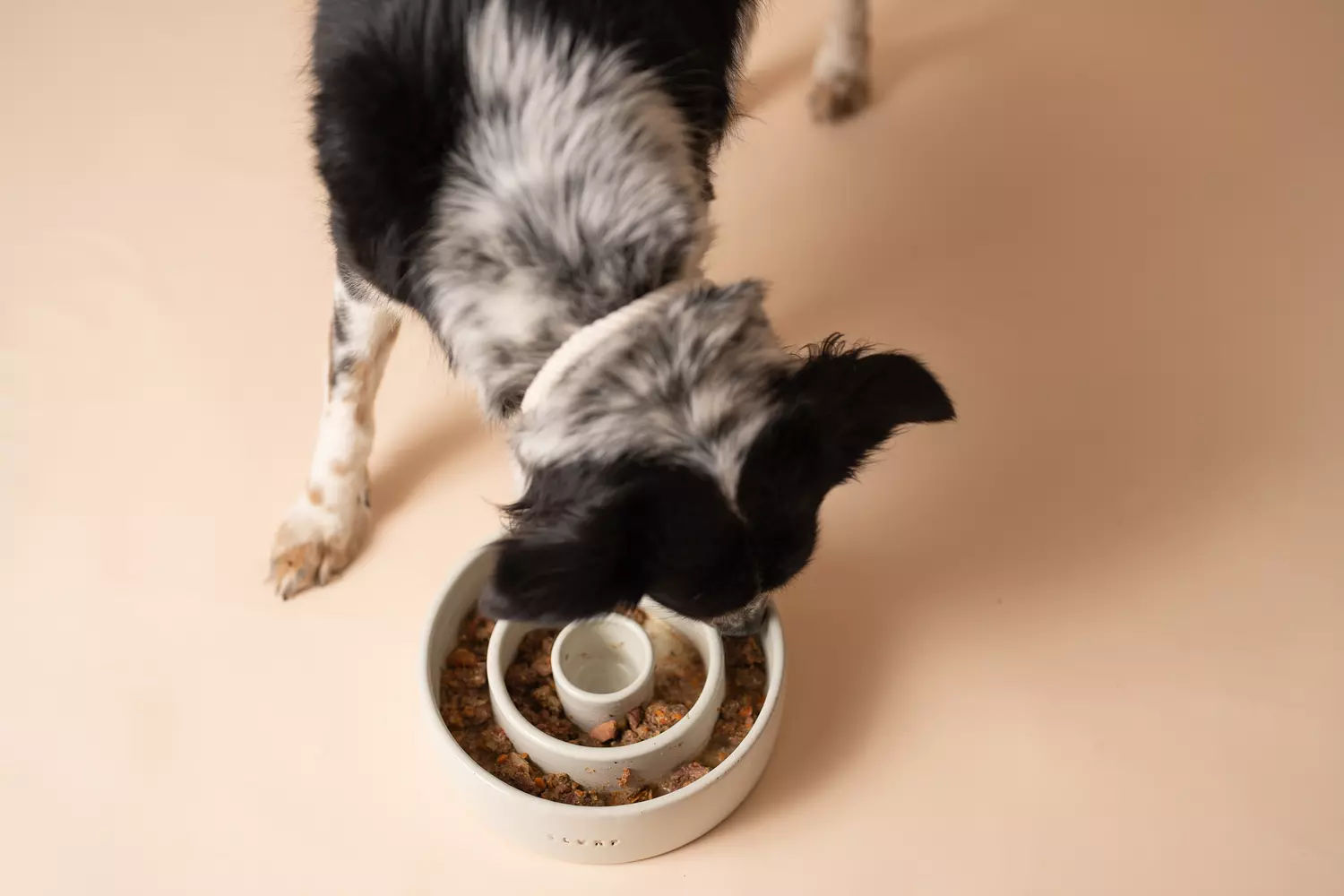 Slurp Slow Feeder | Terra 2