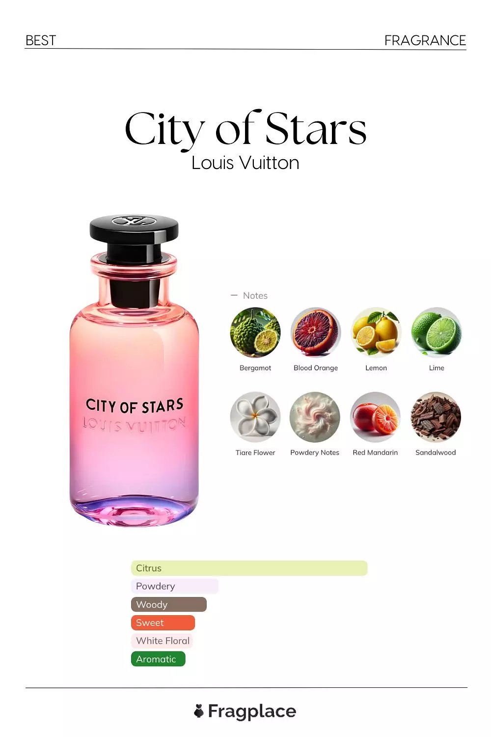 Louis Vuitton City Of stars  1