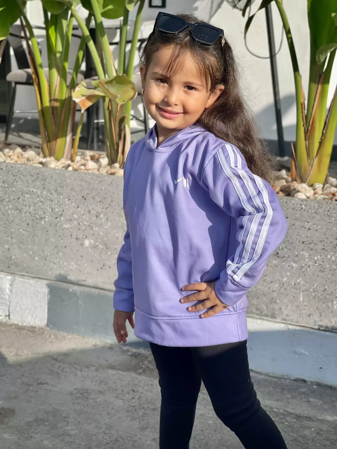 Purple Hoodie  image