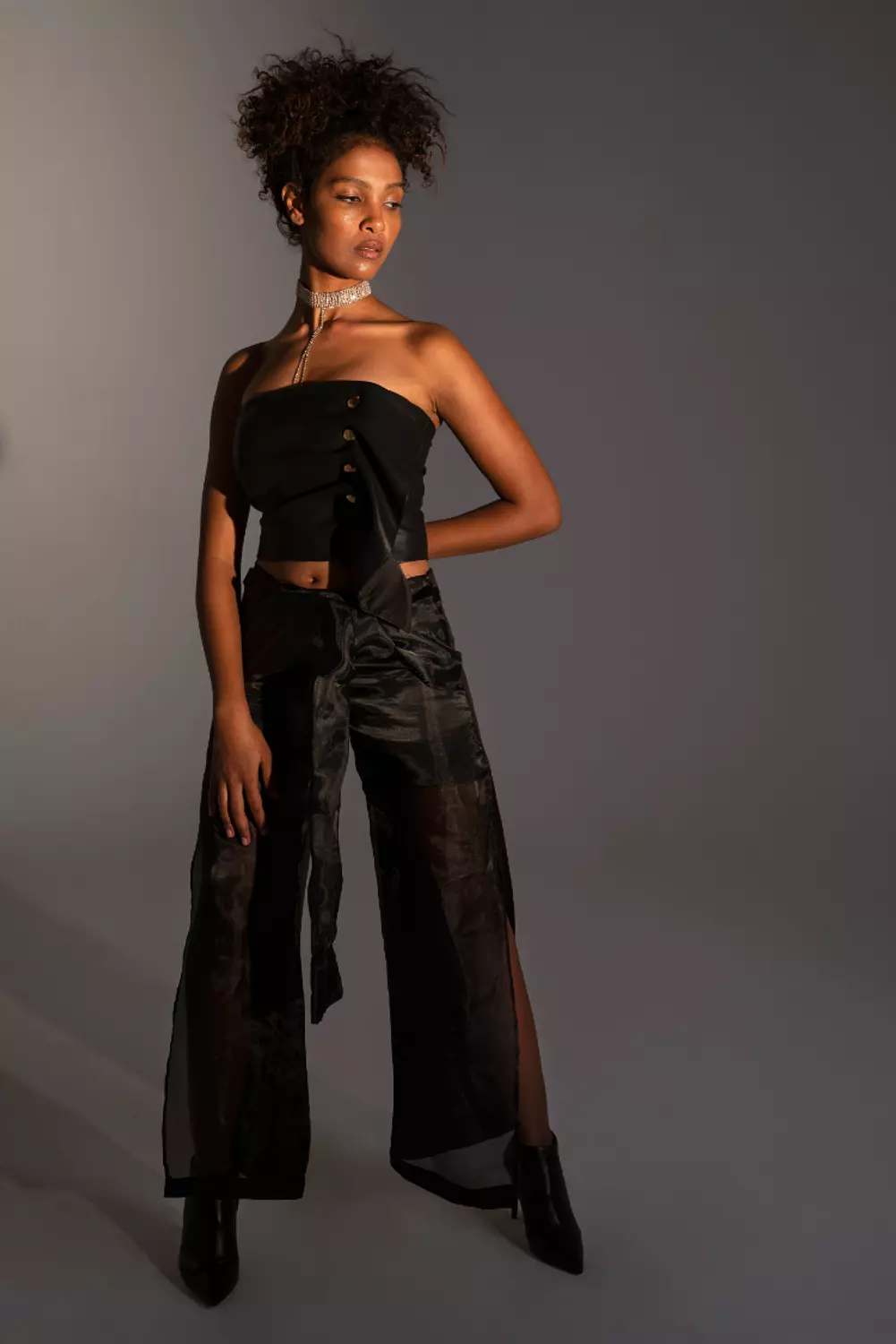 Organza Pants image