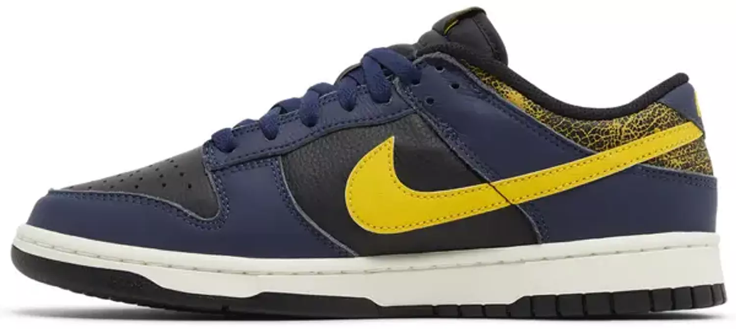 NIKE  DUNK LOW RETRO MICHIGAN BLUE GOLD 3