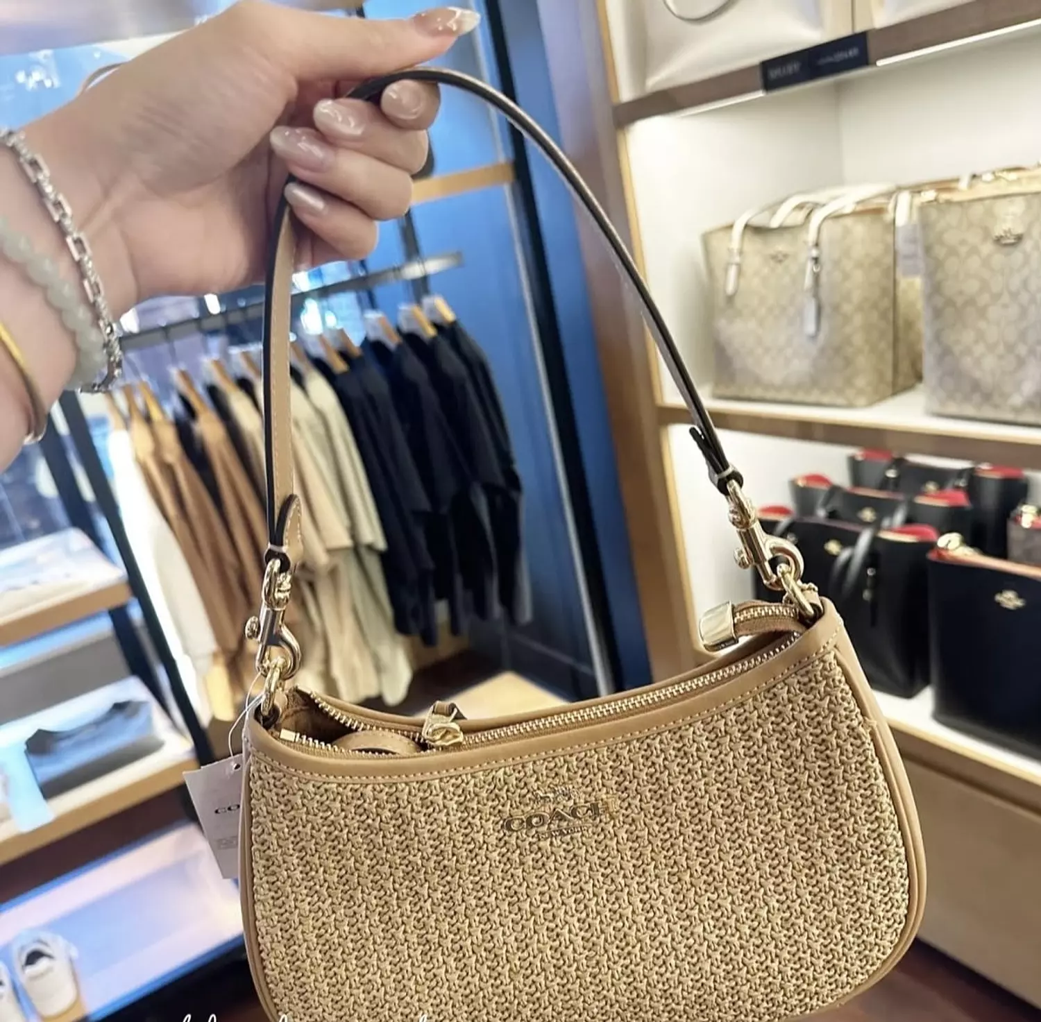 Coach Teri Straw bag image