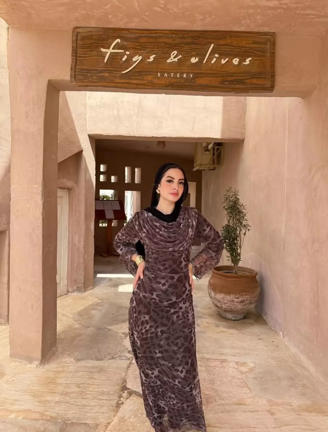 Tiger dress  image