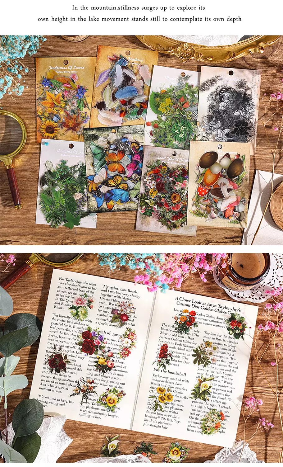 استيكر الطبيعة Nature Story Series Sticker (group 1)  image