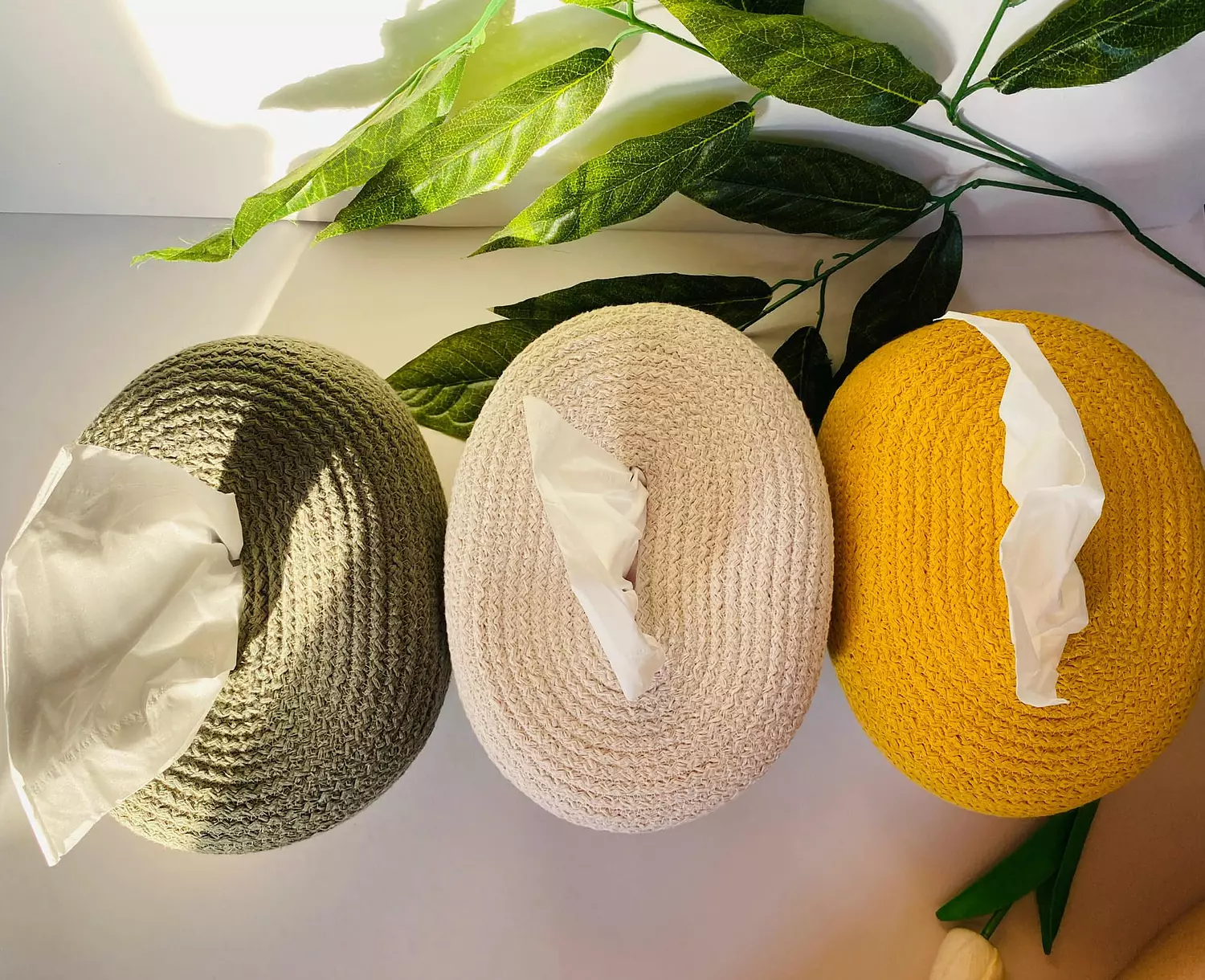 Colorful Tissue Box image