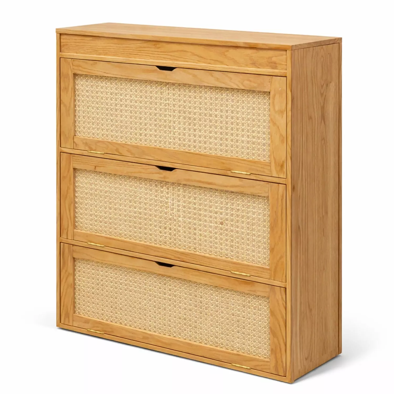 Sona Shoe Cabinet 4