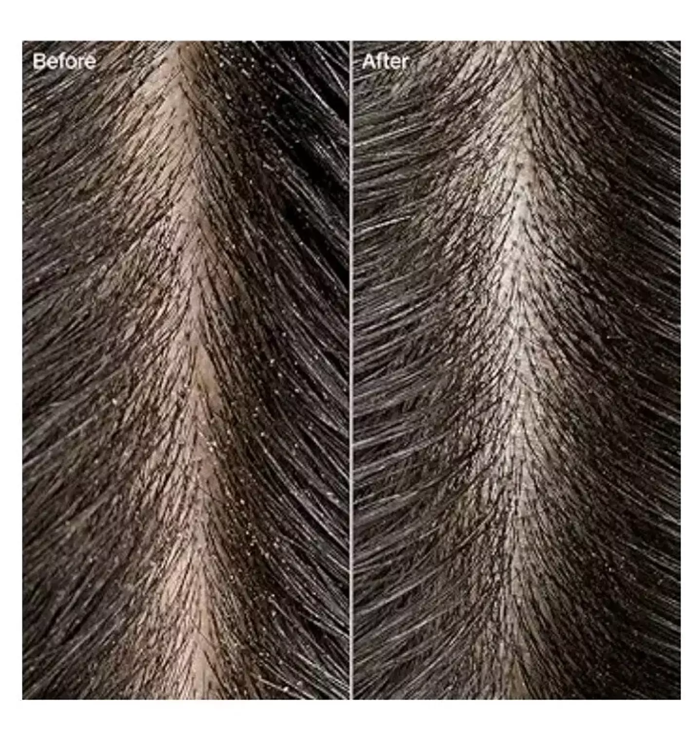 Paul mitchell tea tre 3