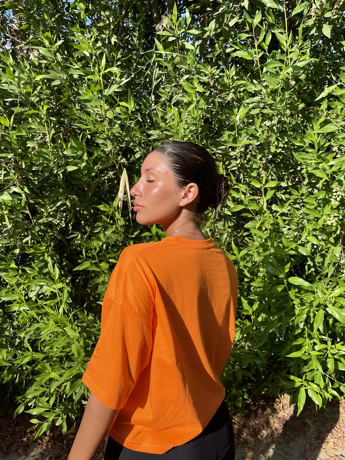 Basic croptop image