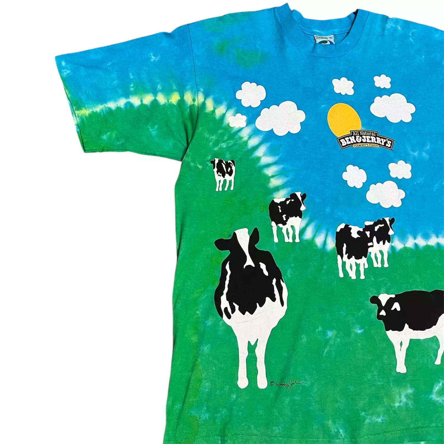 Liquid Blue Ben & Jerry’s icecream Tee 2