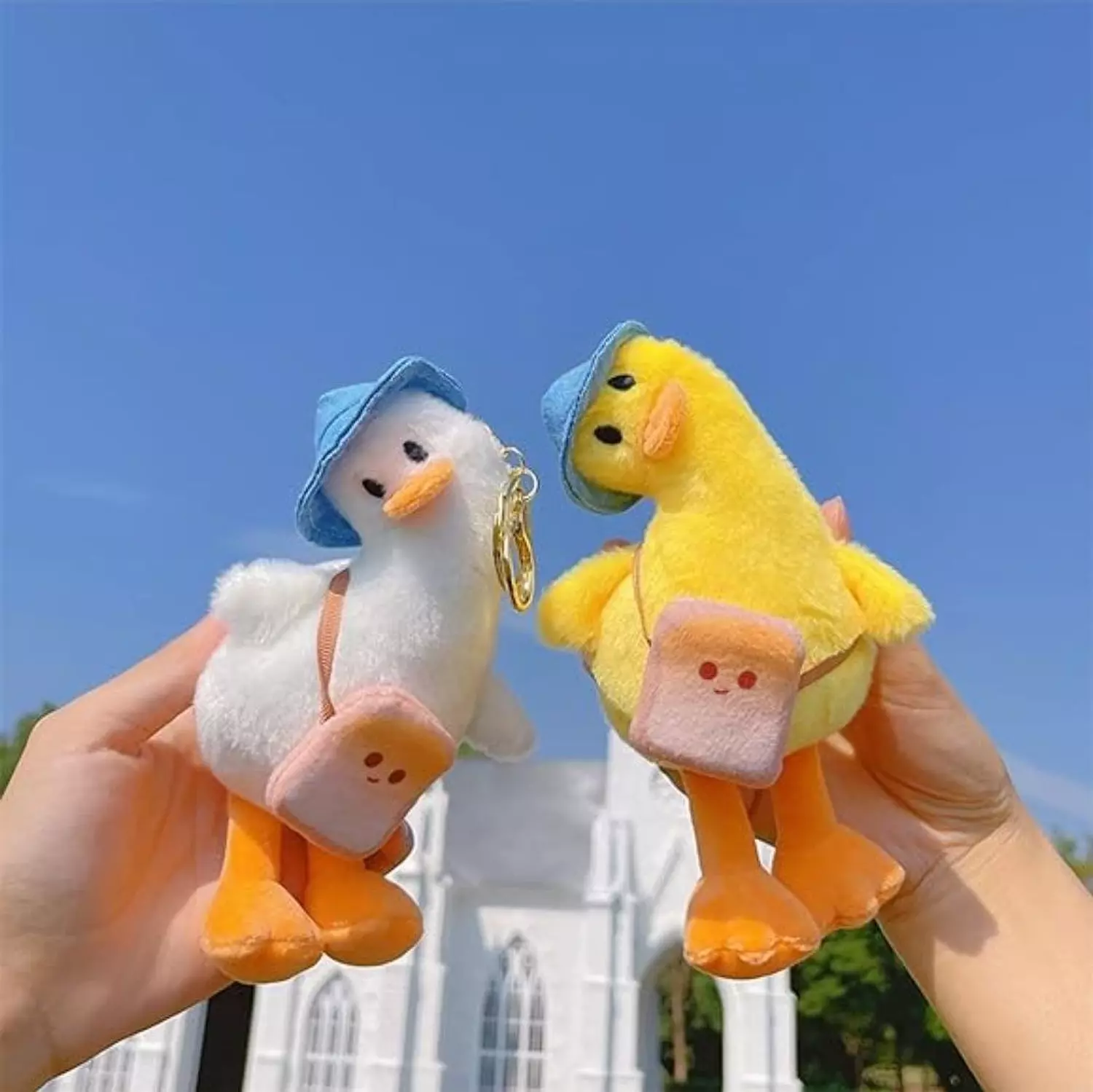 Cute Duck Dummy