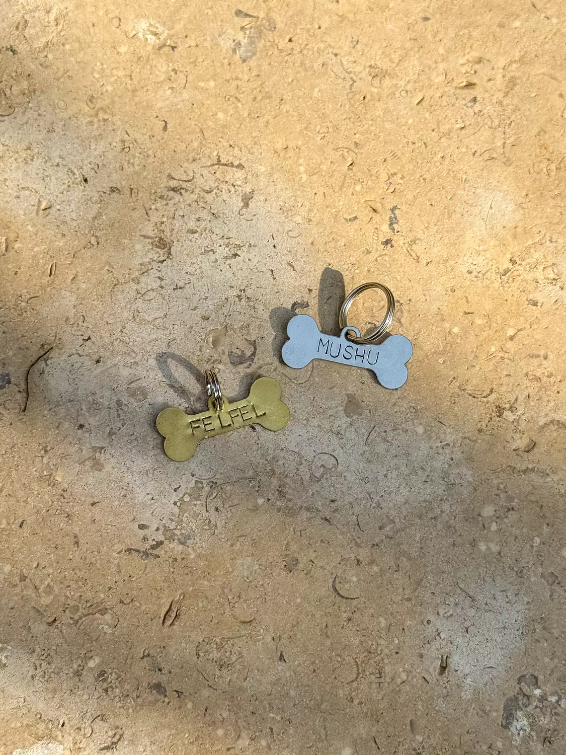 Mini Bone Pet Tag hover image