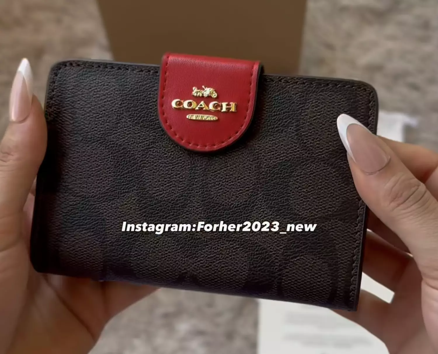 Medium Corner Zip Wallet In Signature red cap 1