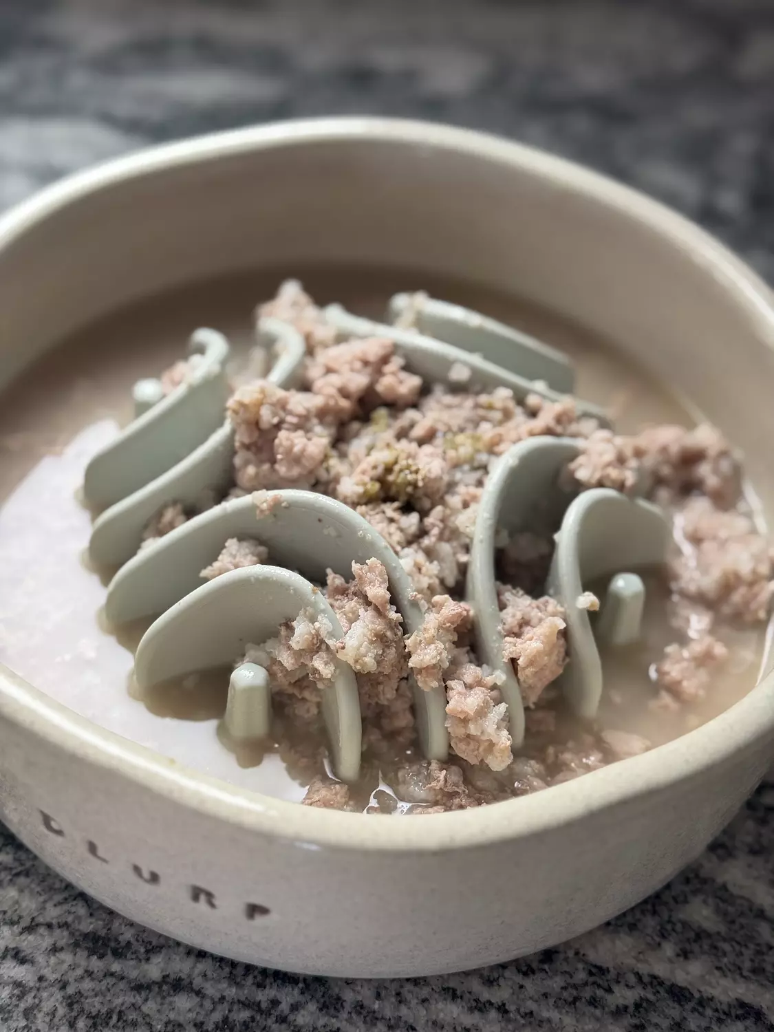 Slow Feeder Insert 5