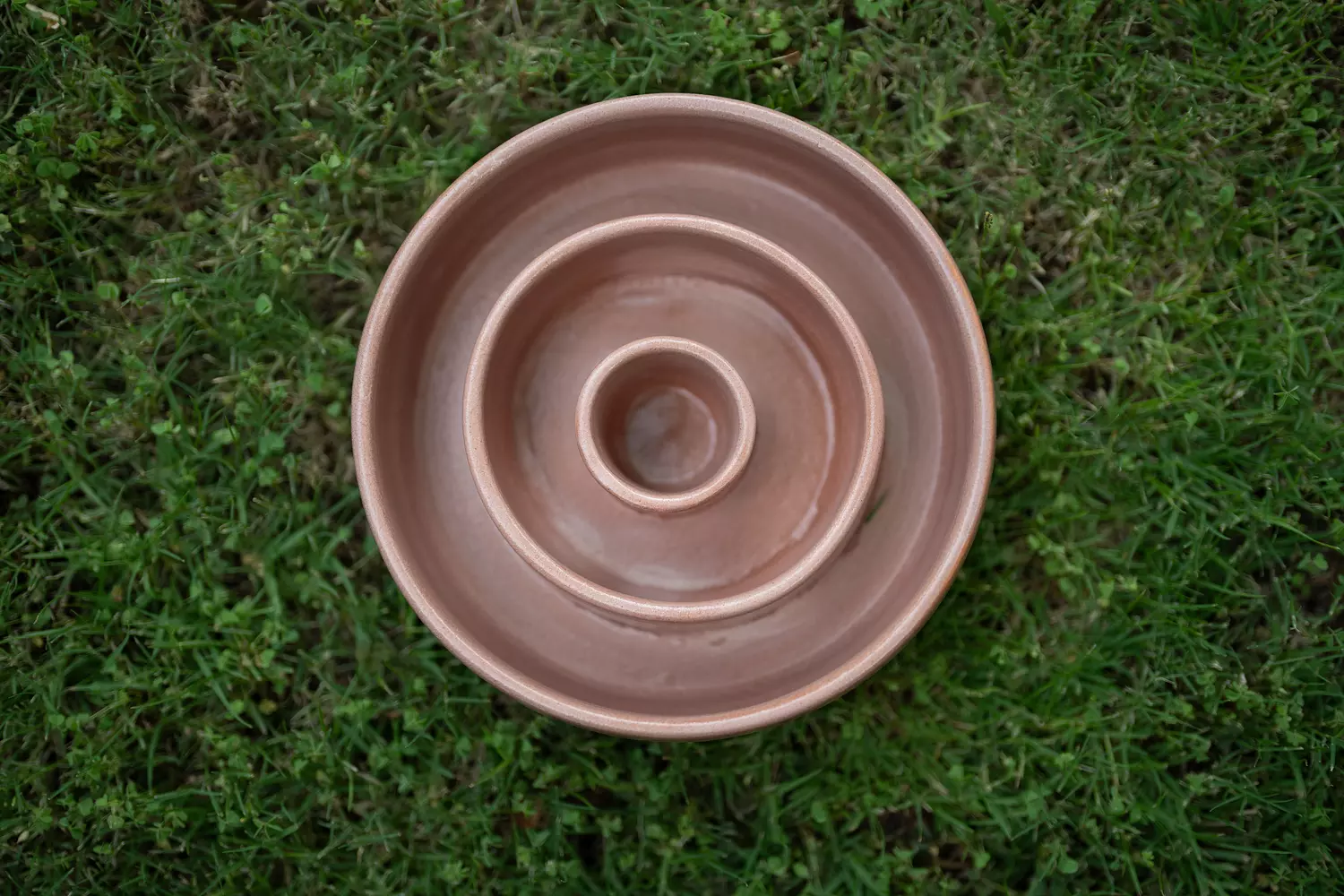 Slurp Slow Feeder | Terra 4