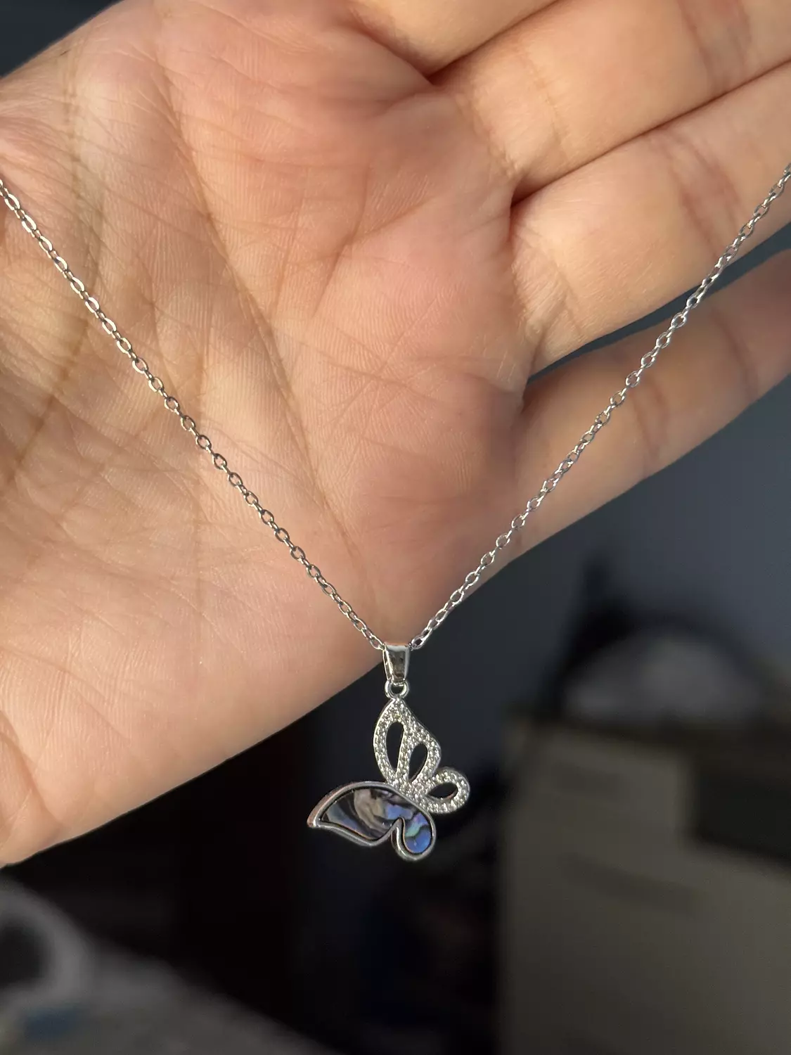 Stainless Steel Silver Necklace ( Stock ) 3
