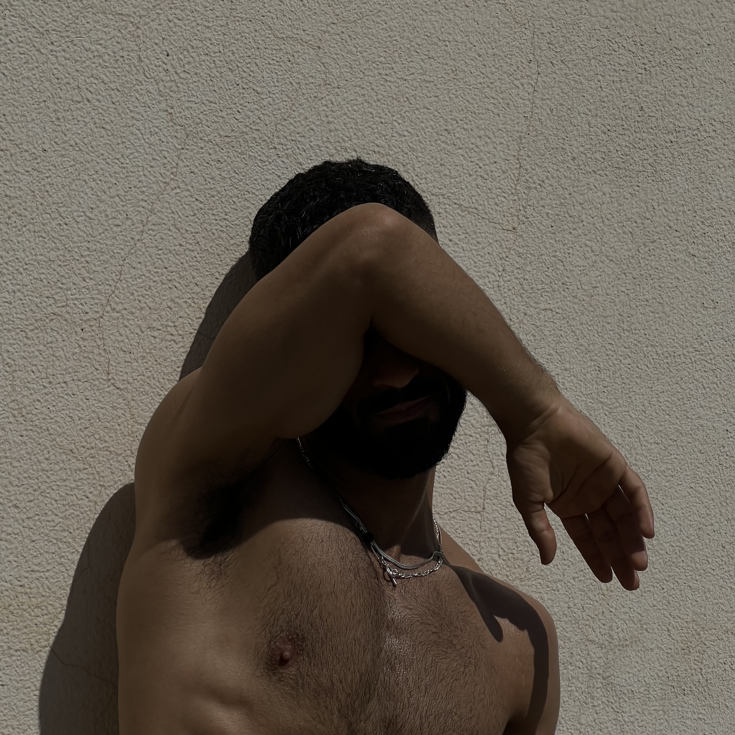Silver snake 4