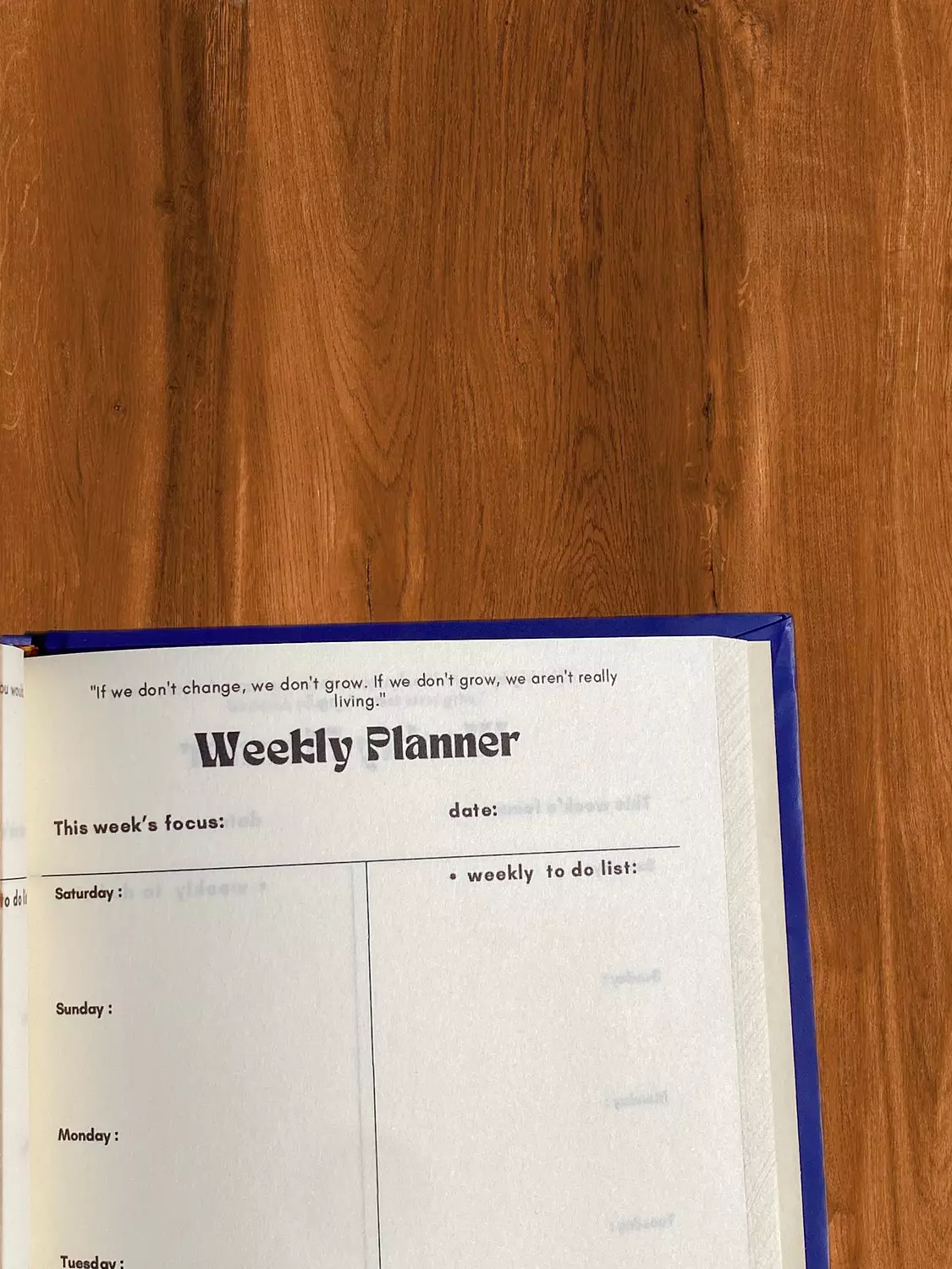 “This is my year” 2026 planner 12