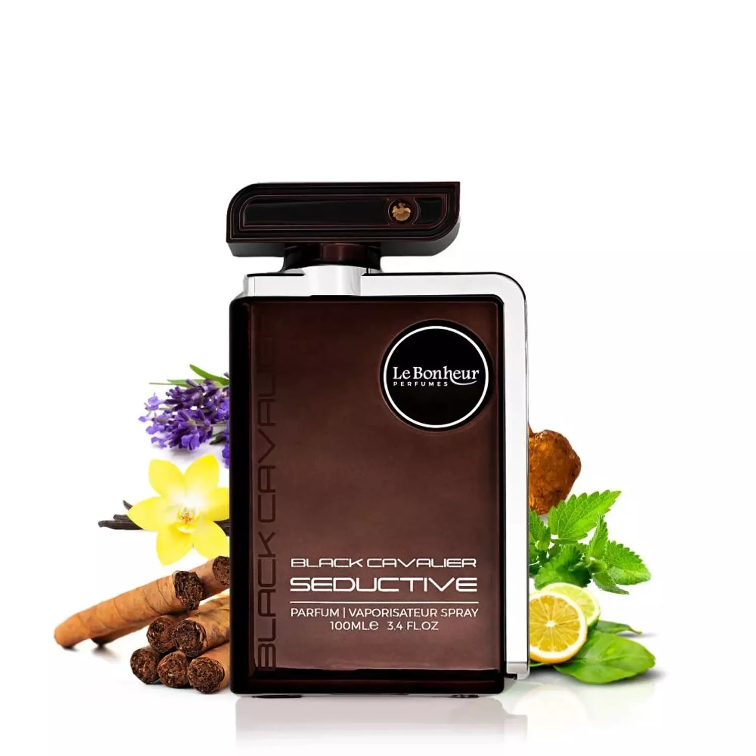 Black cavalier seductive image