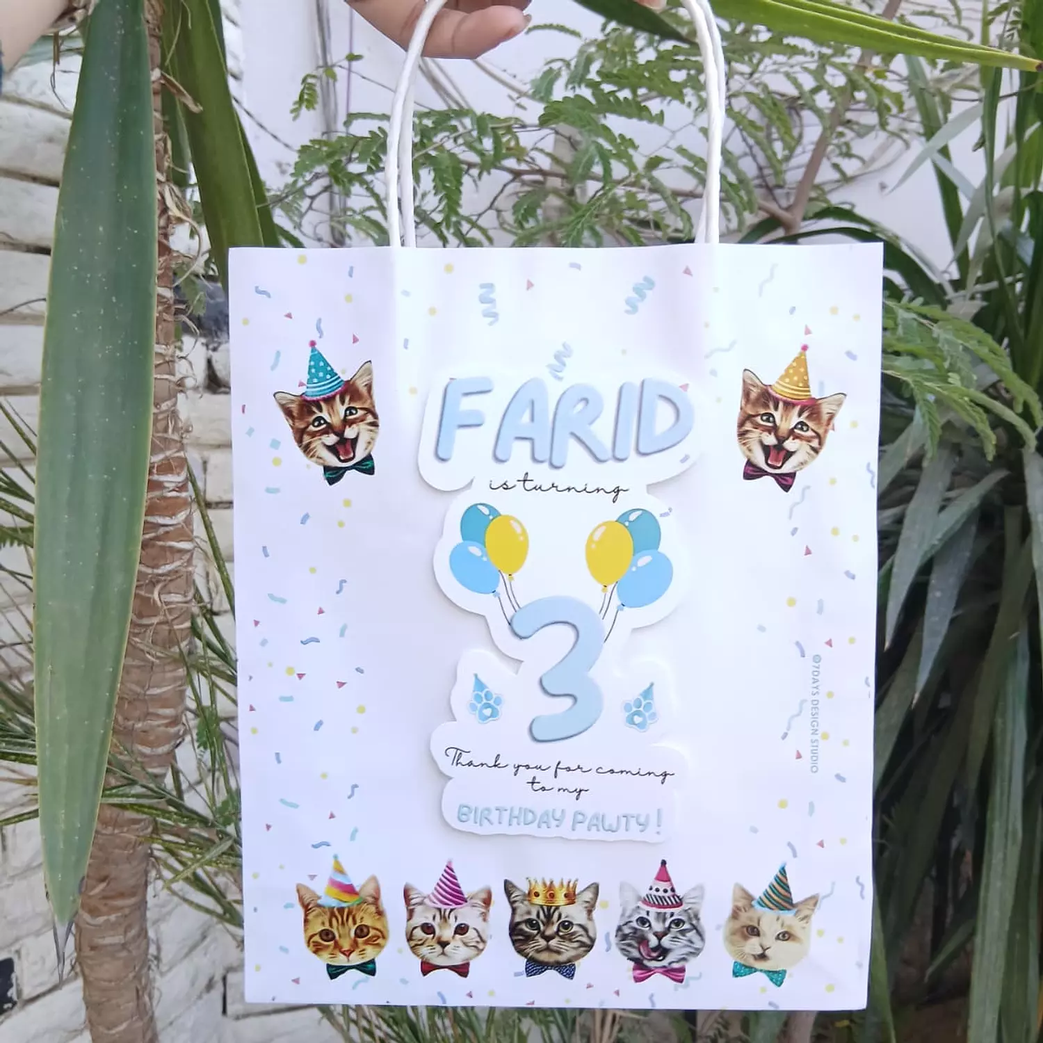 Cats Giveaways image