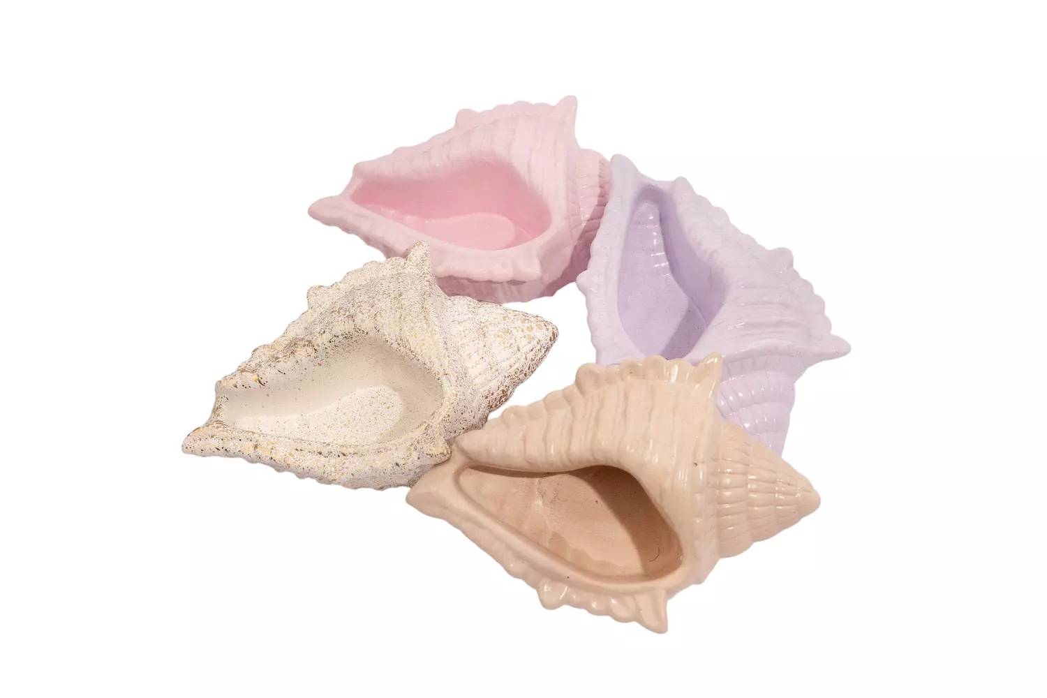 Concrete Conch Shell  hover image