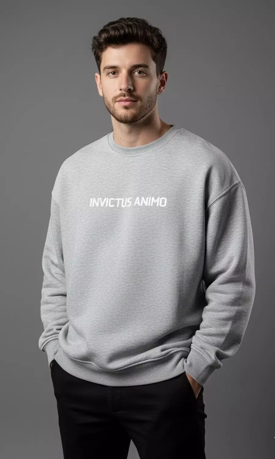 Premium Crewneck  _ Grey image